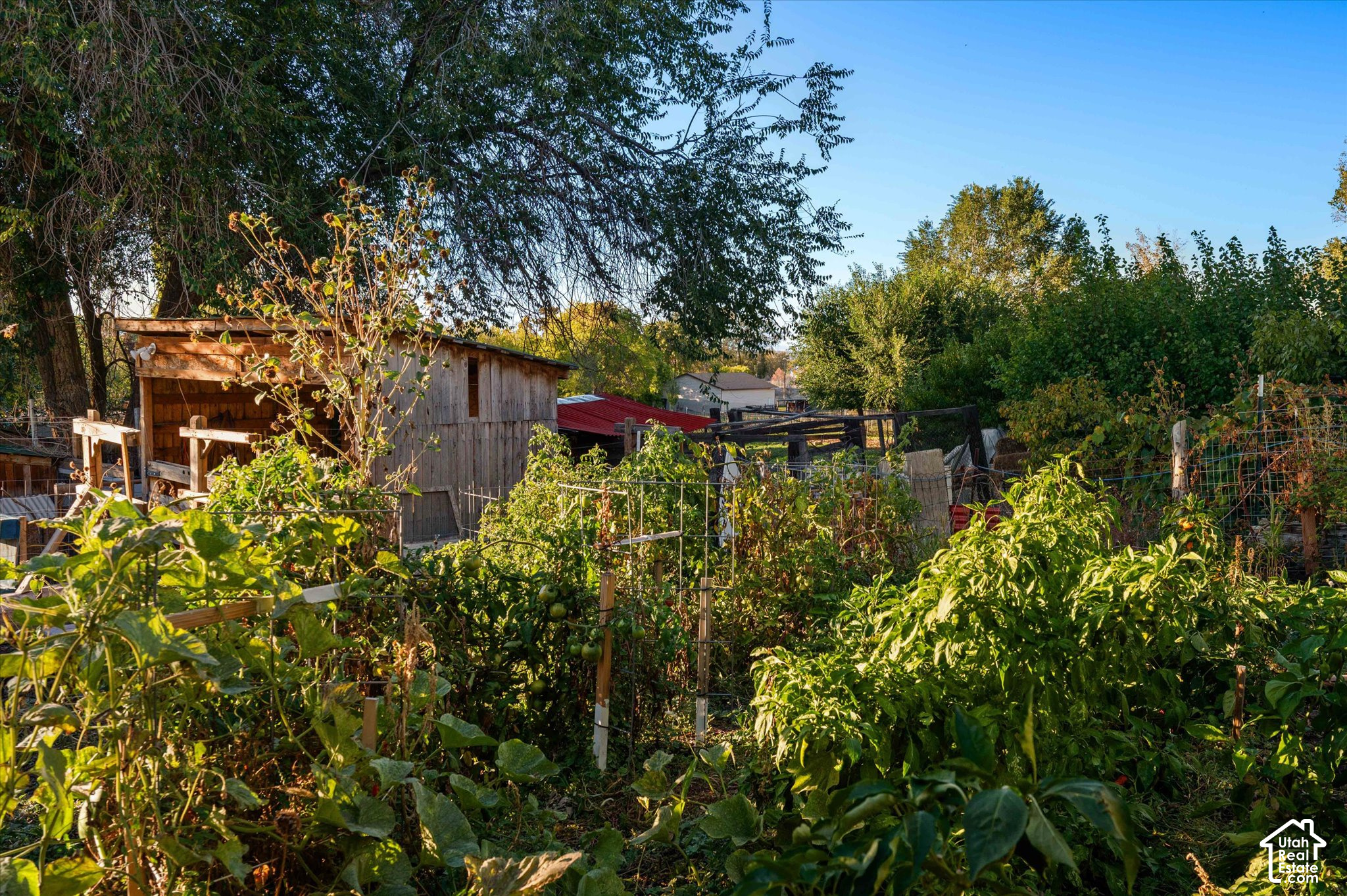 main property photo 34