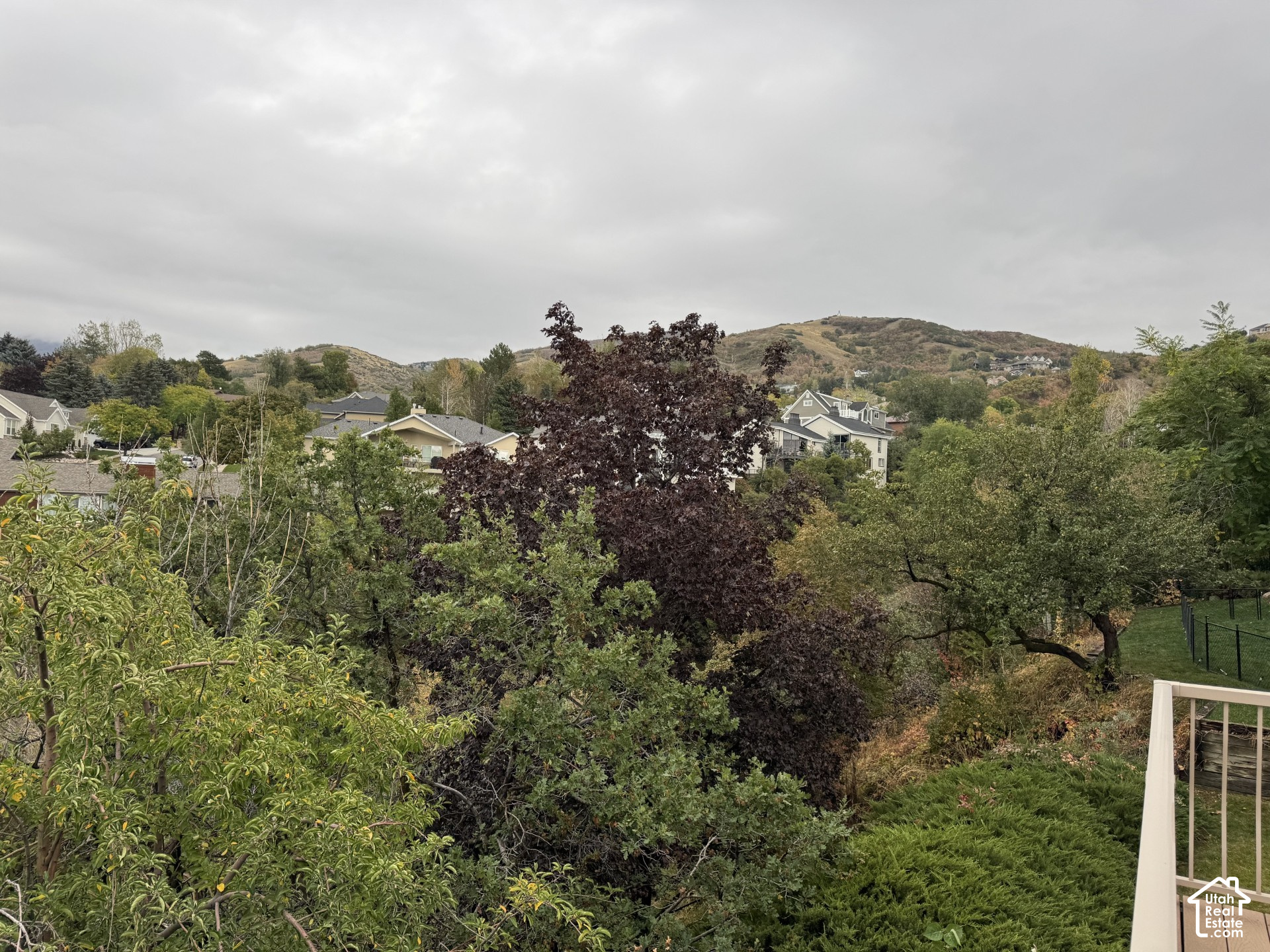 main property photo 56