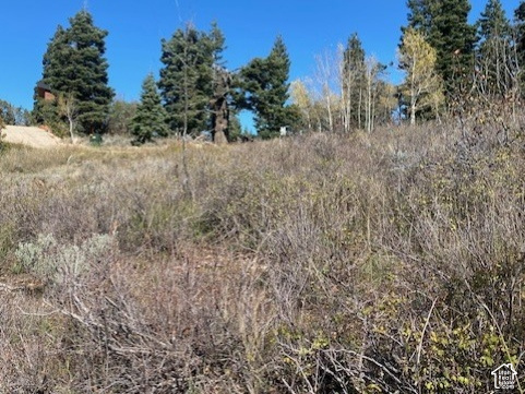 main property photo 10