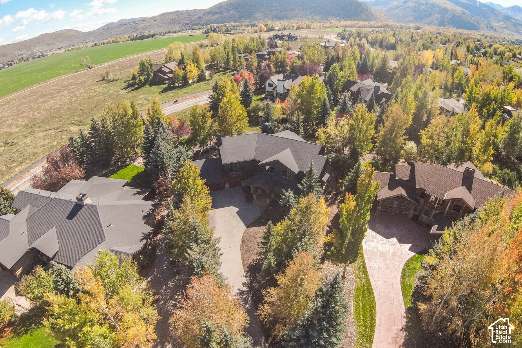 main property photo 61