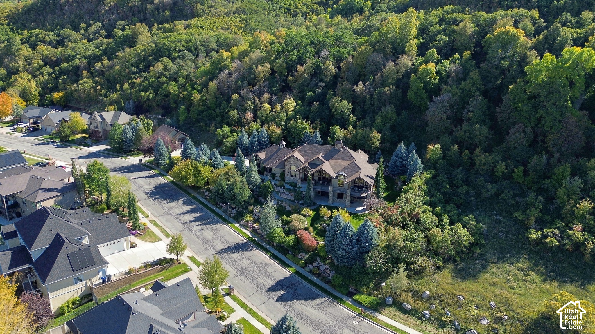 main property photo 100