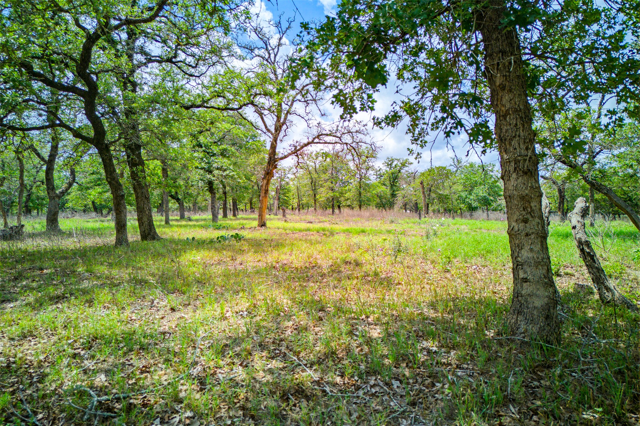 main property photo 33