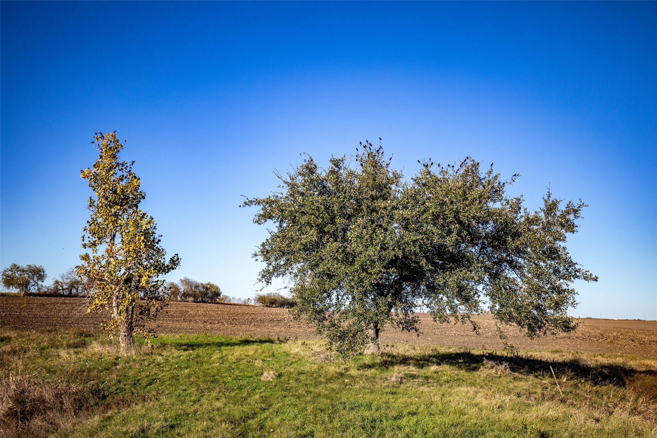 main property photo 11