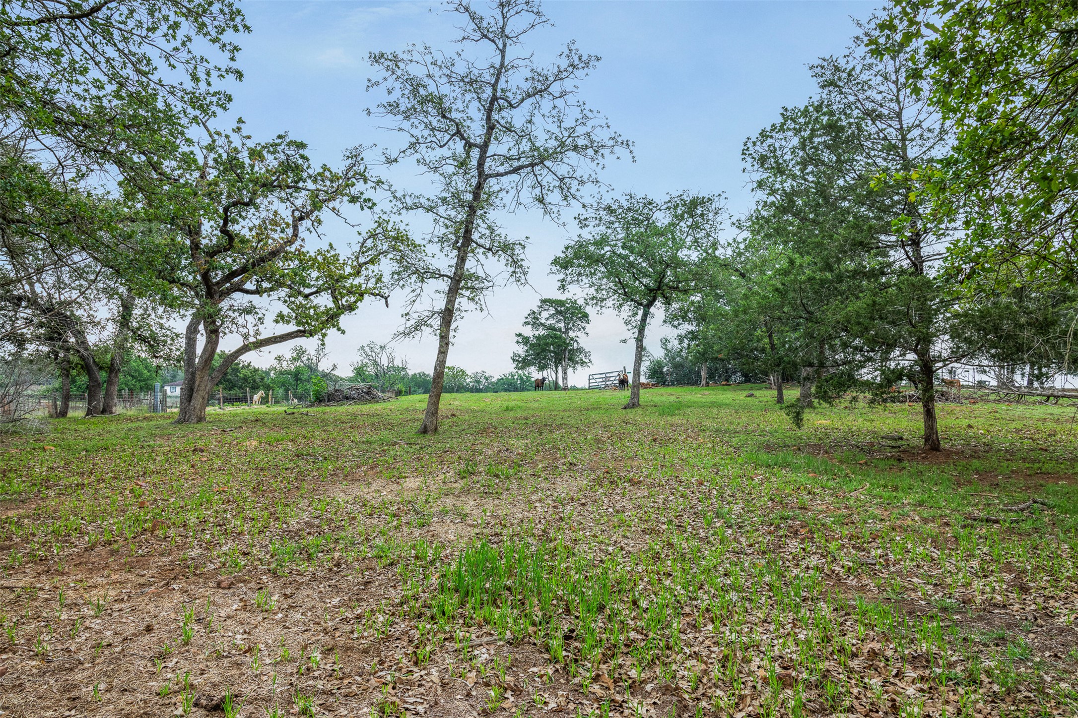 main property photo 18