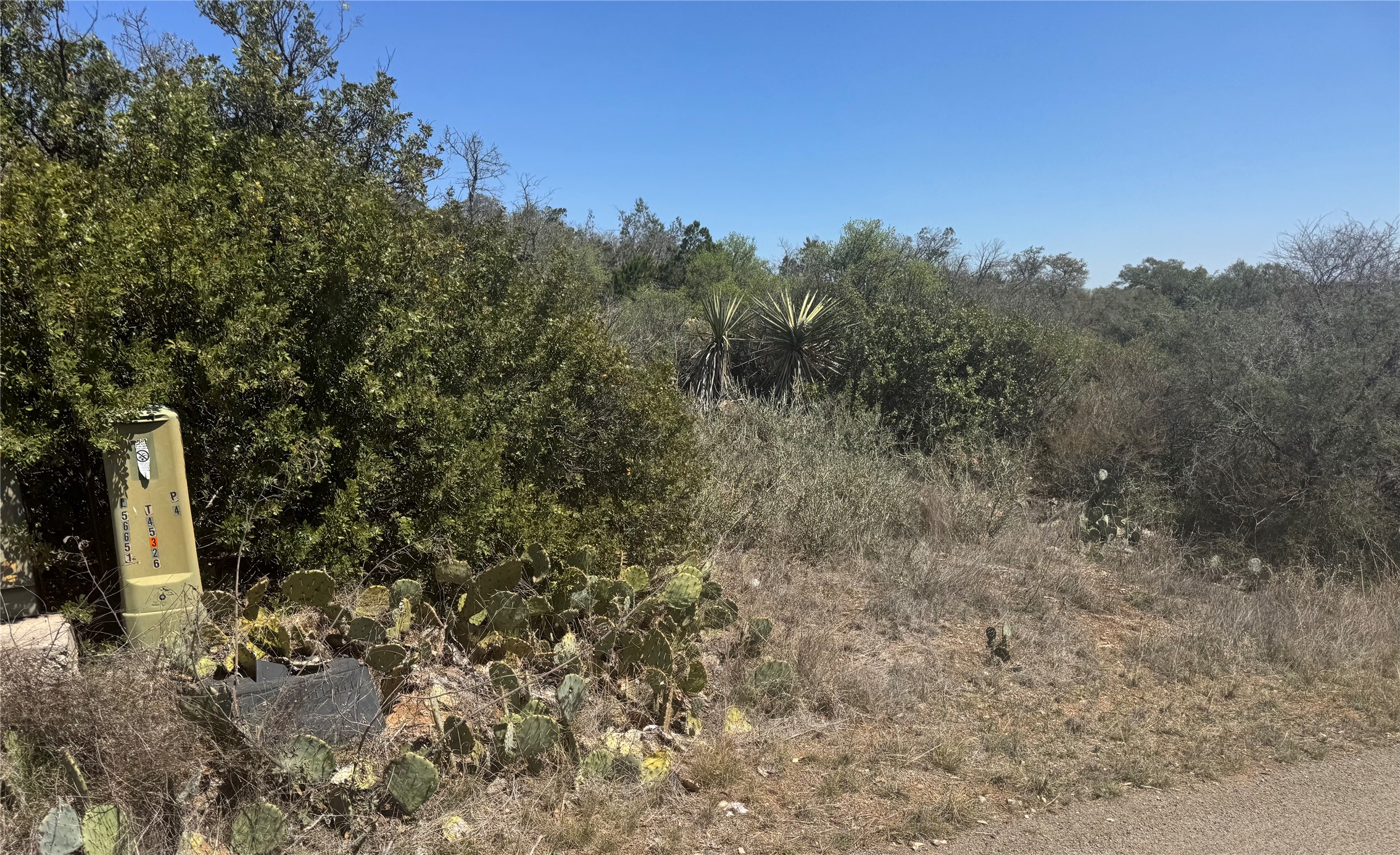 main property photo 3
