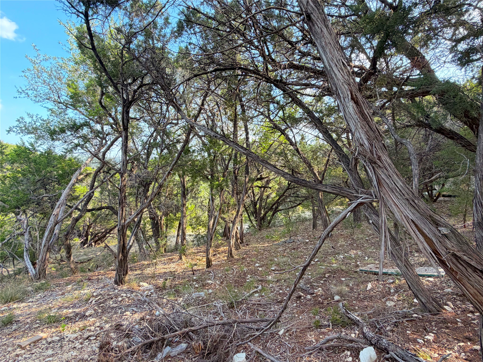 main property photo 11