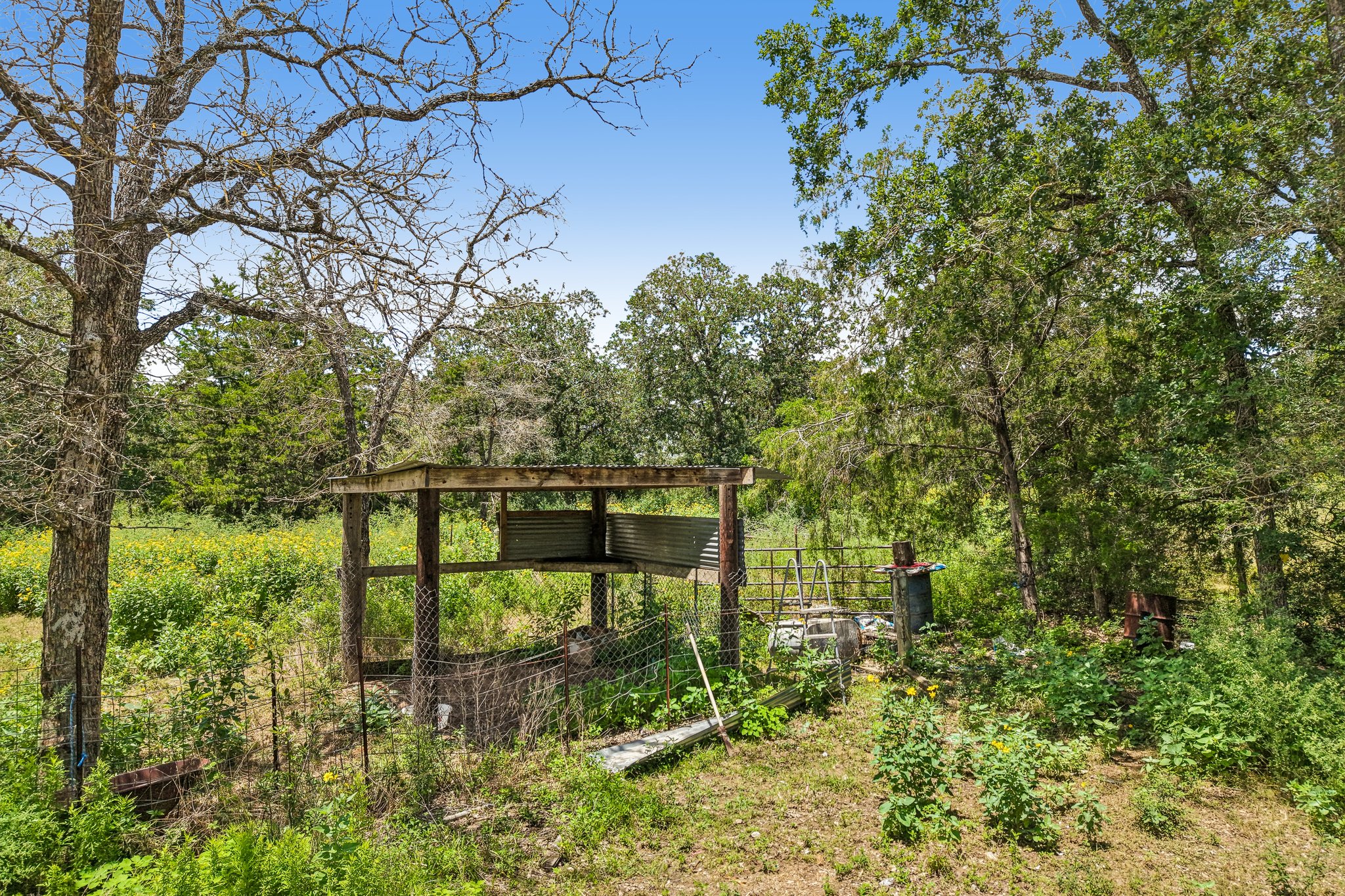 main property photo 22