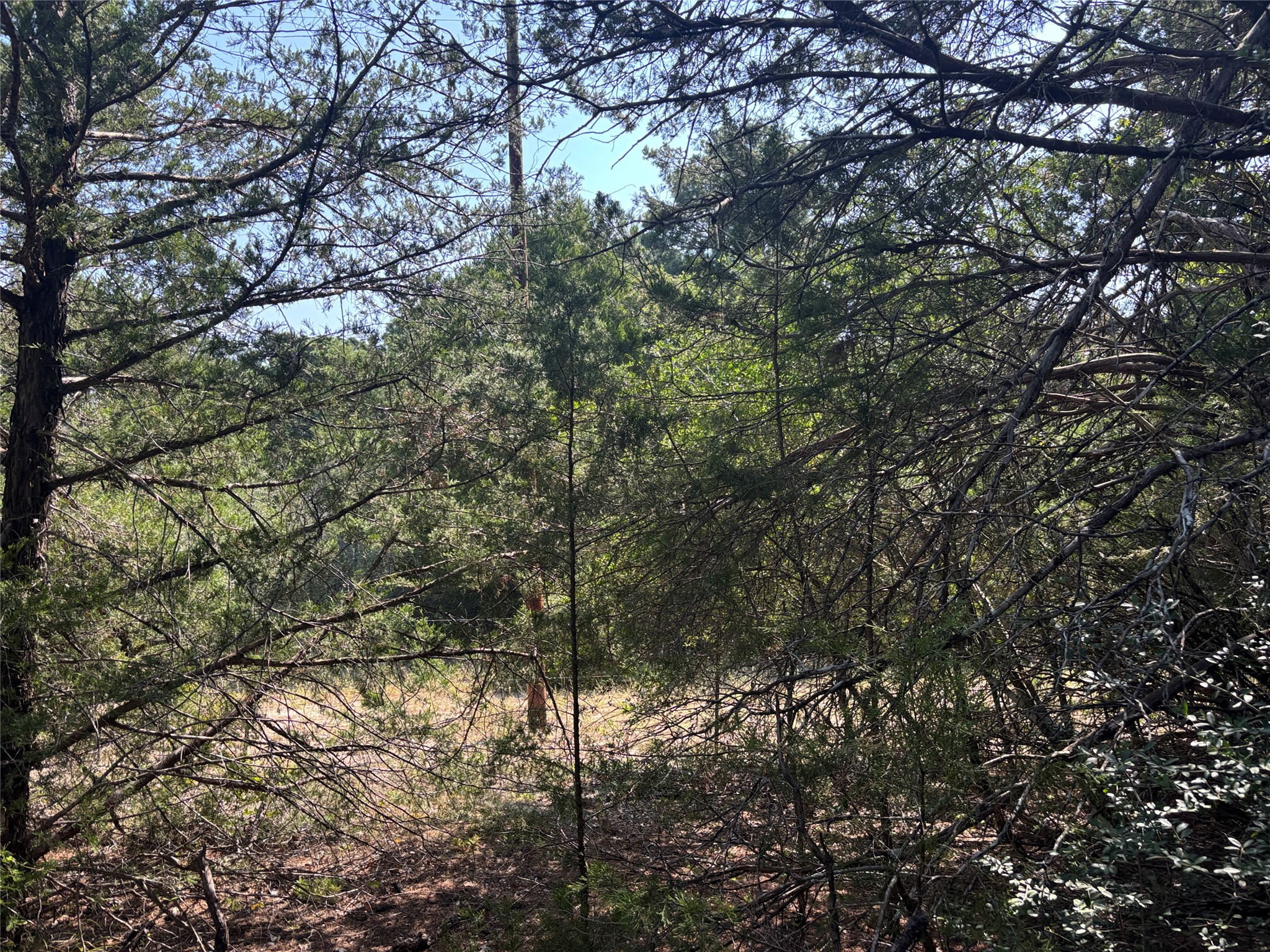 main property photo 16