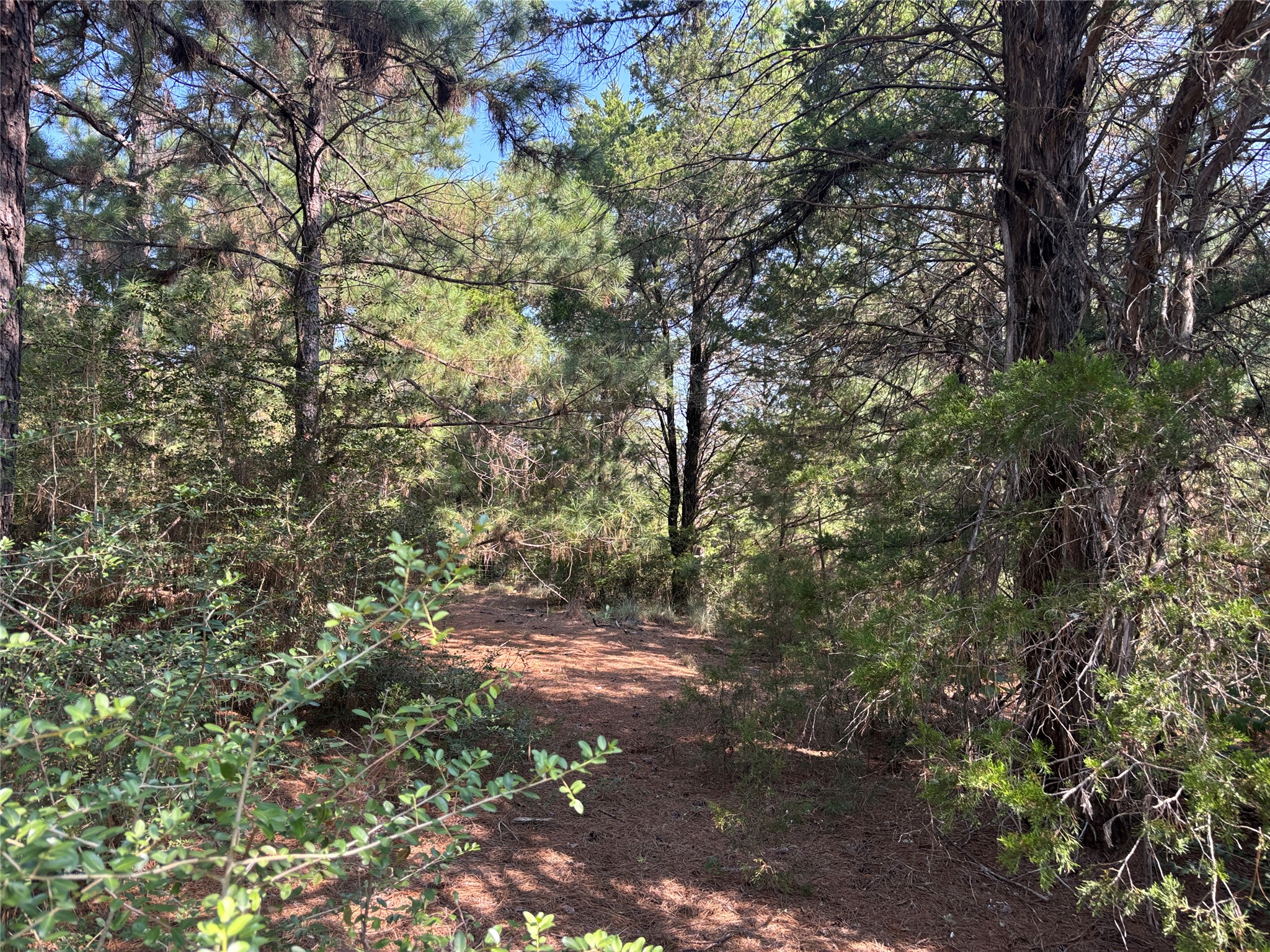 main property photo 18