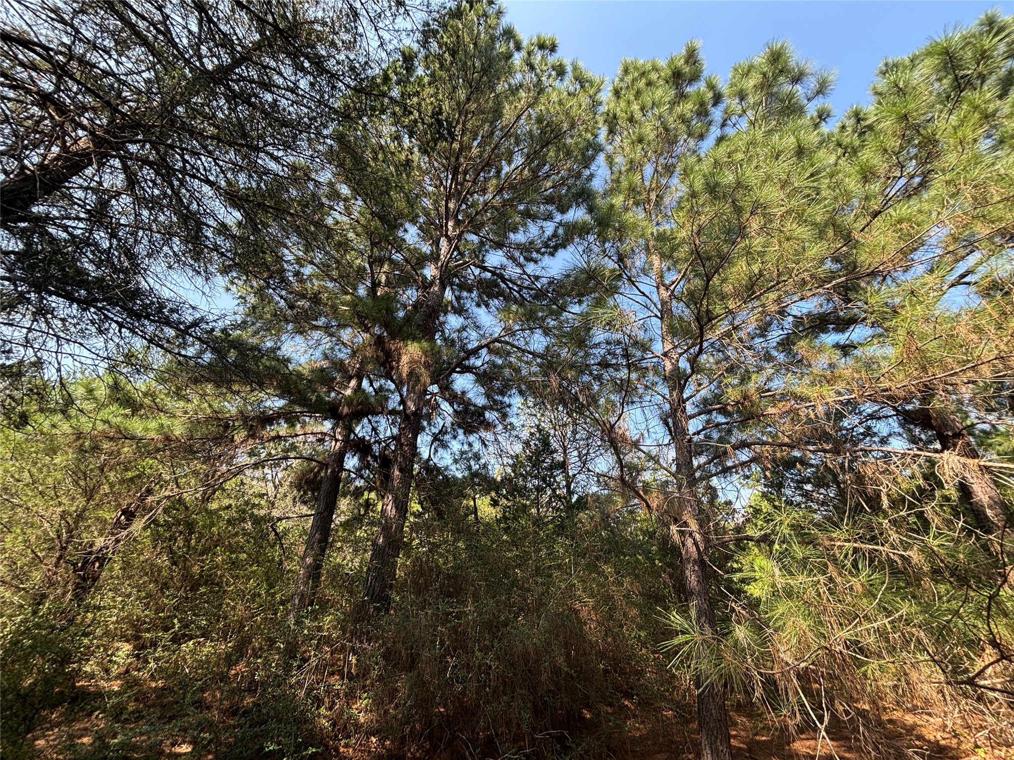 main property photo 19