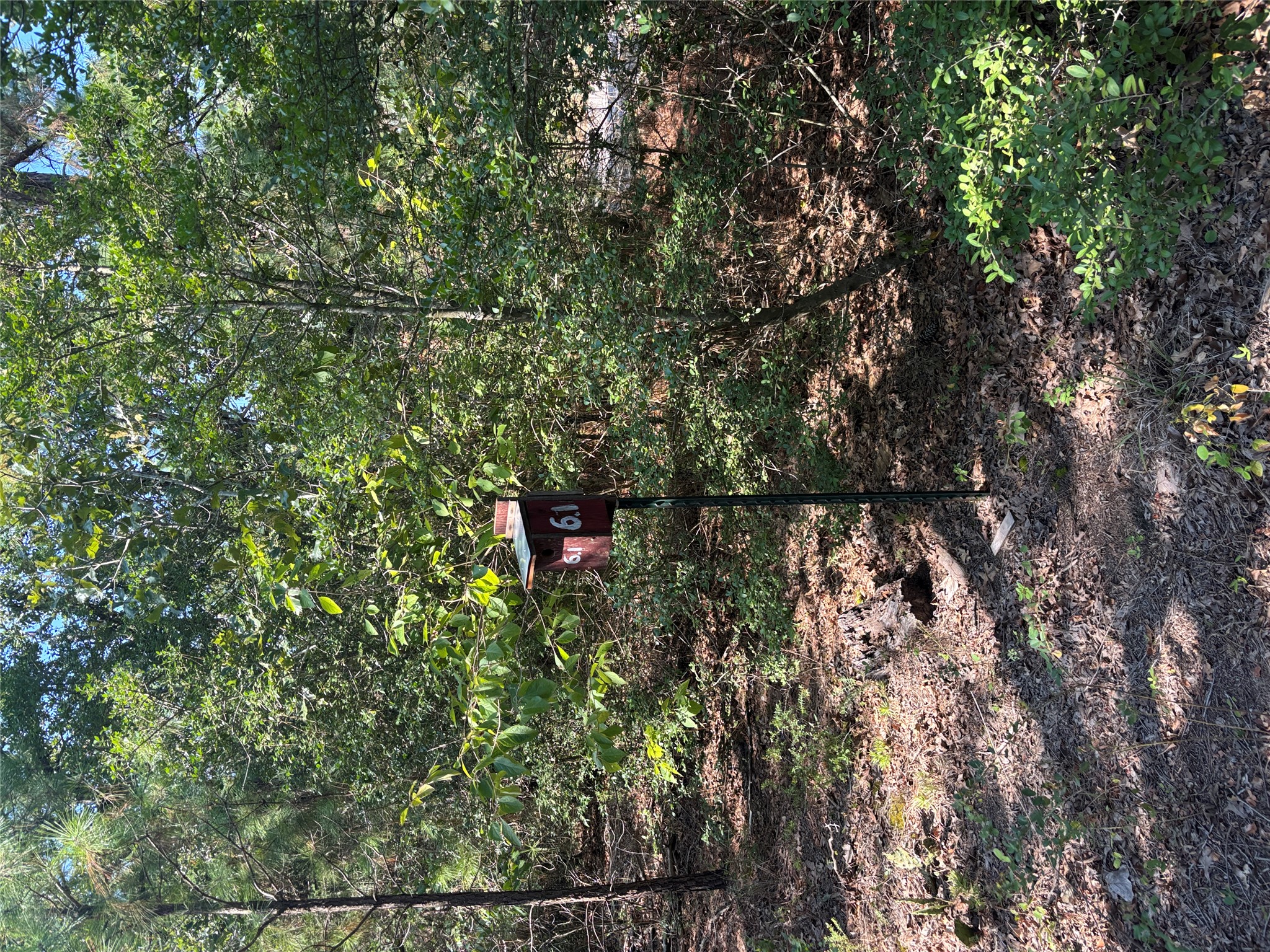 main property photo 7