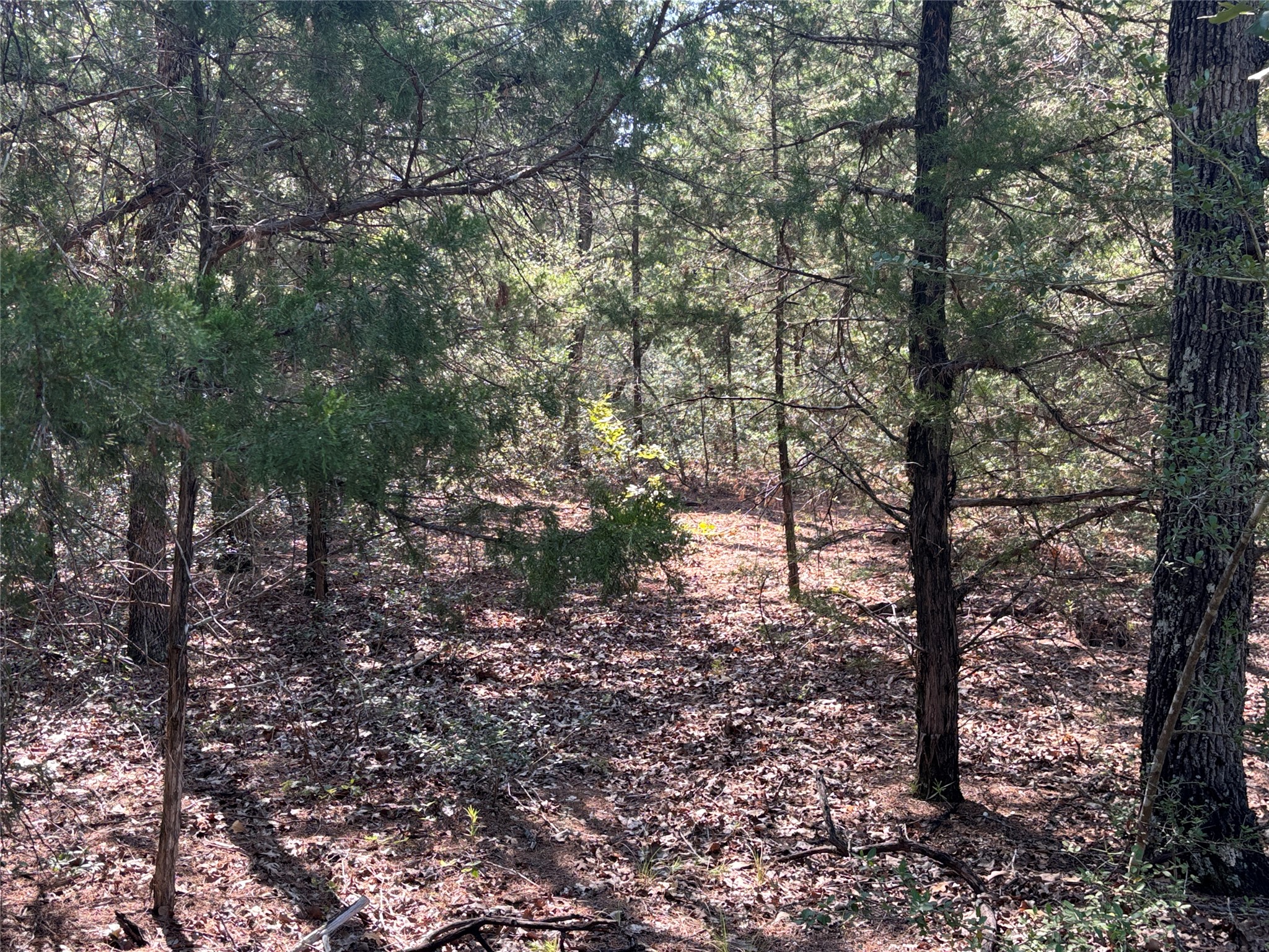main property photo 8
