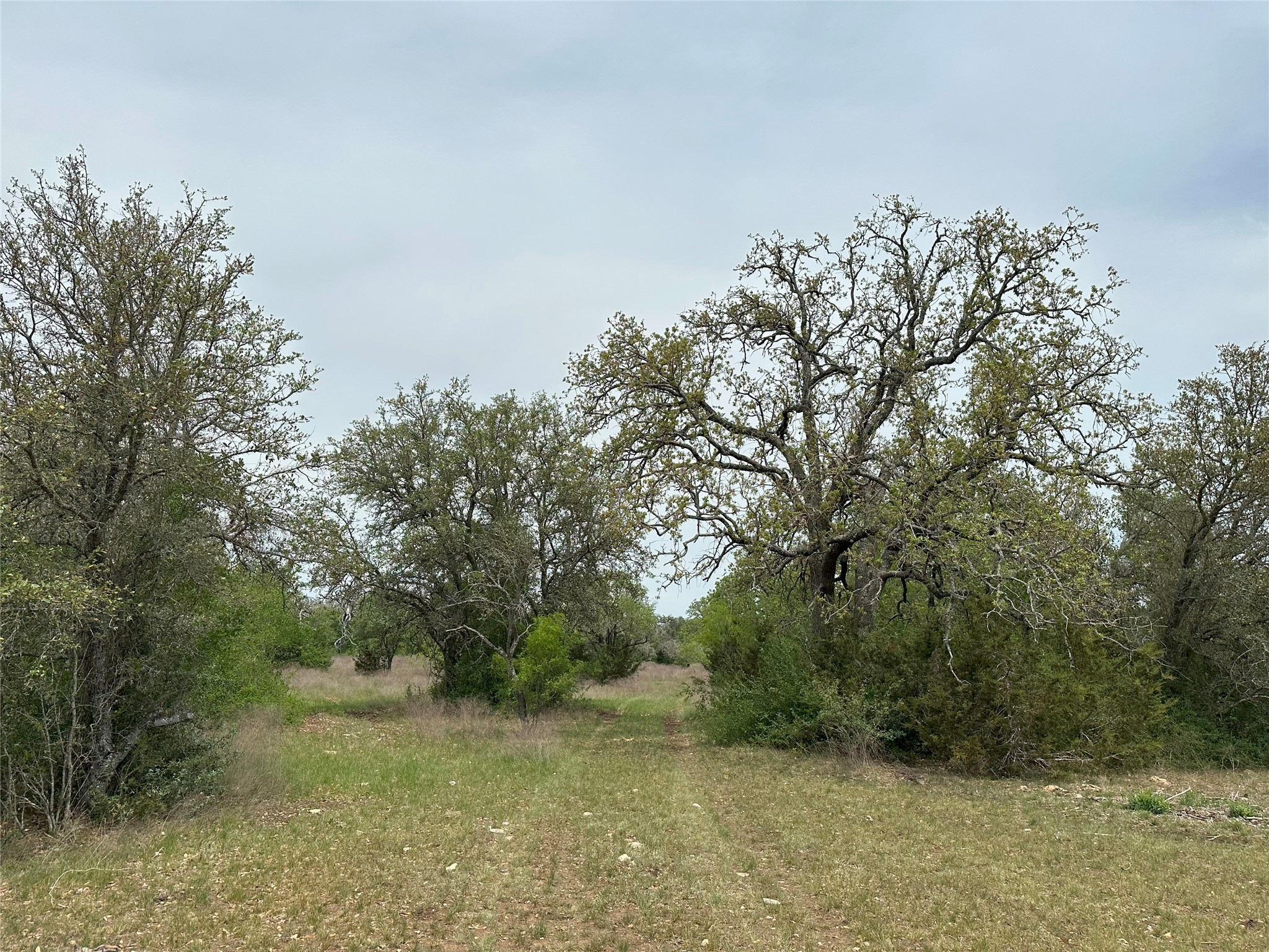 main property photo 10