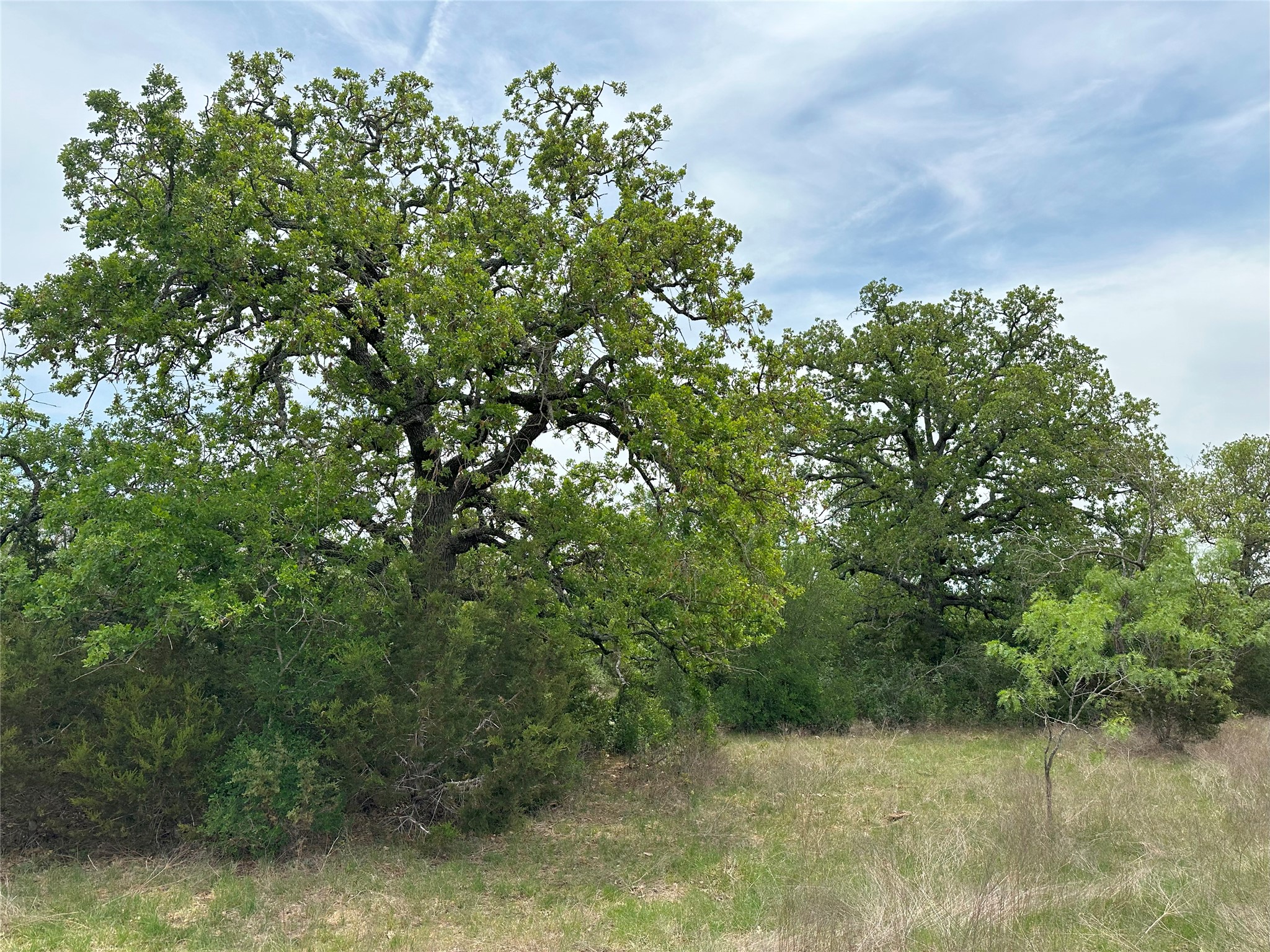 main property photo 11