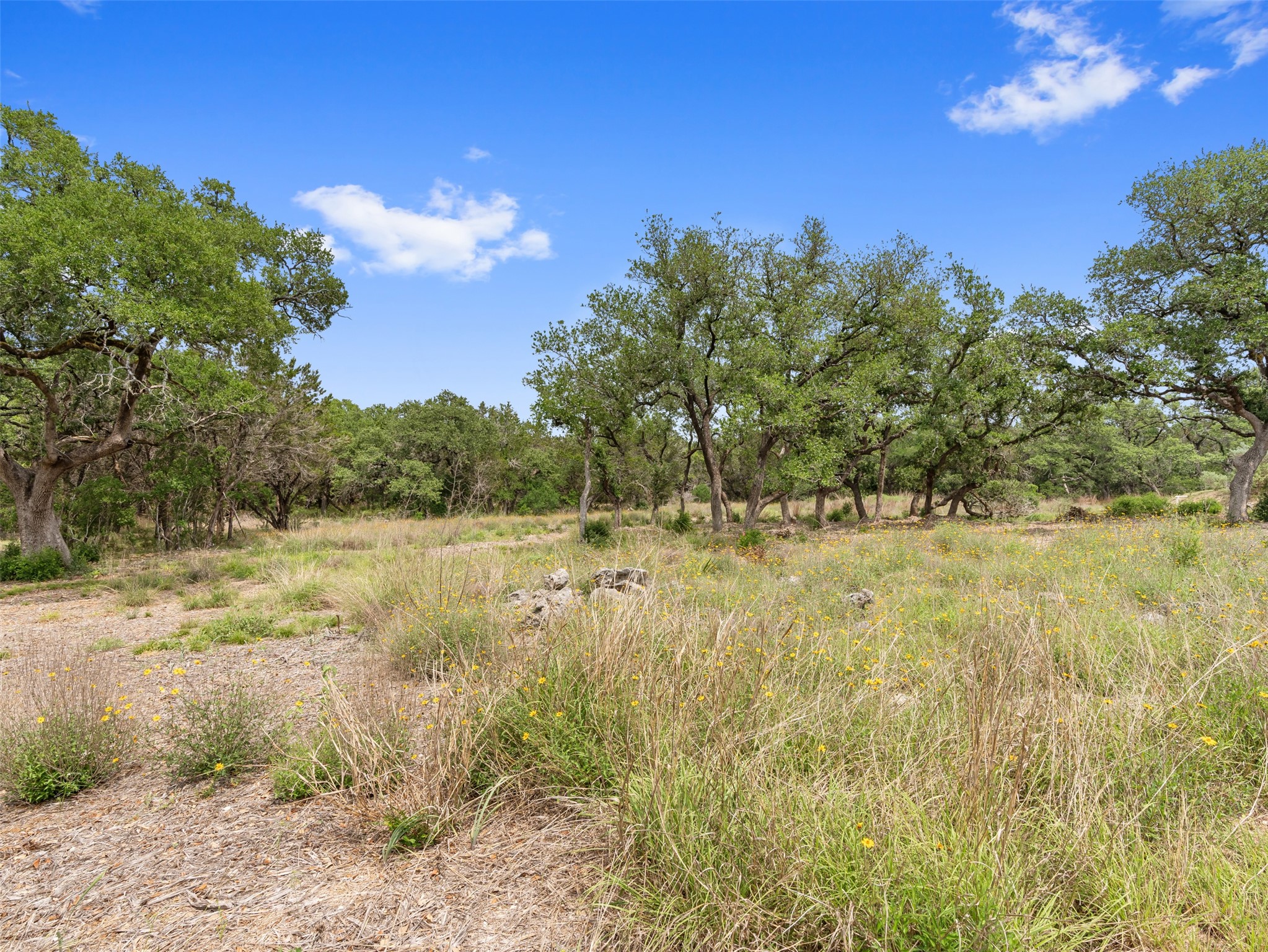main property photo 11