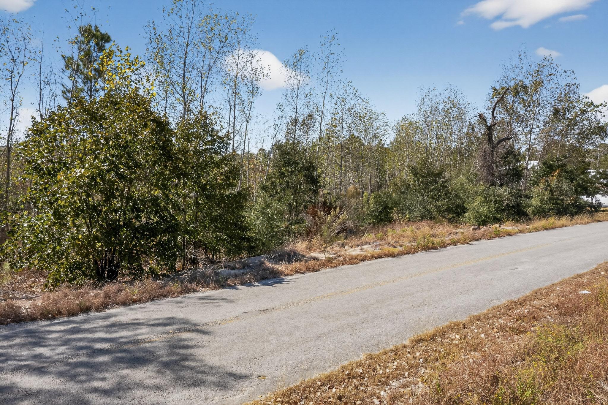 main property photo 14