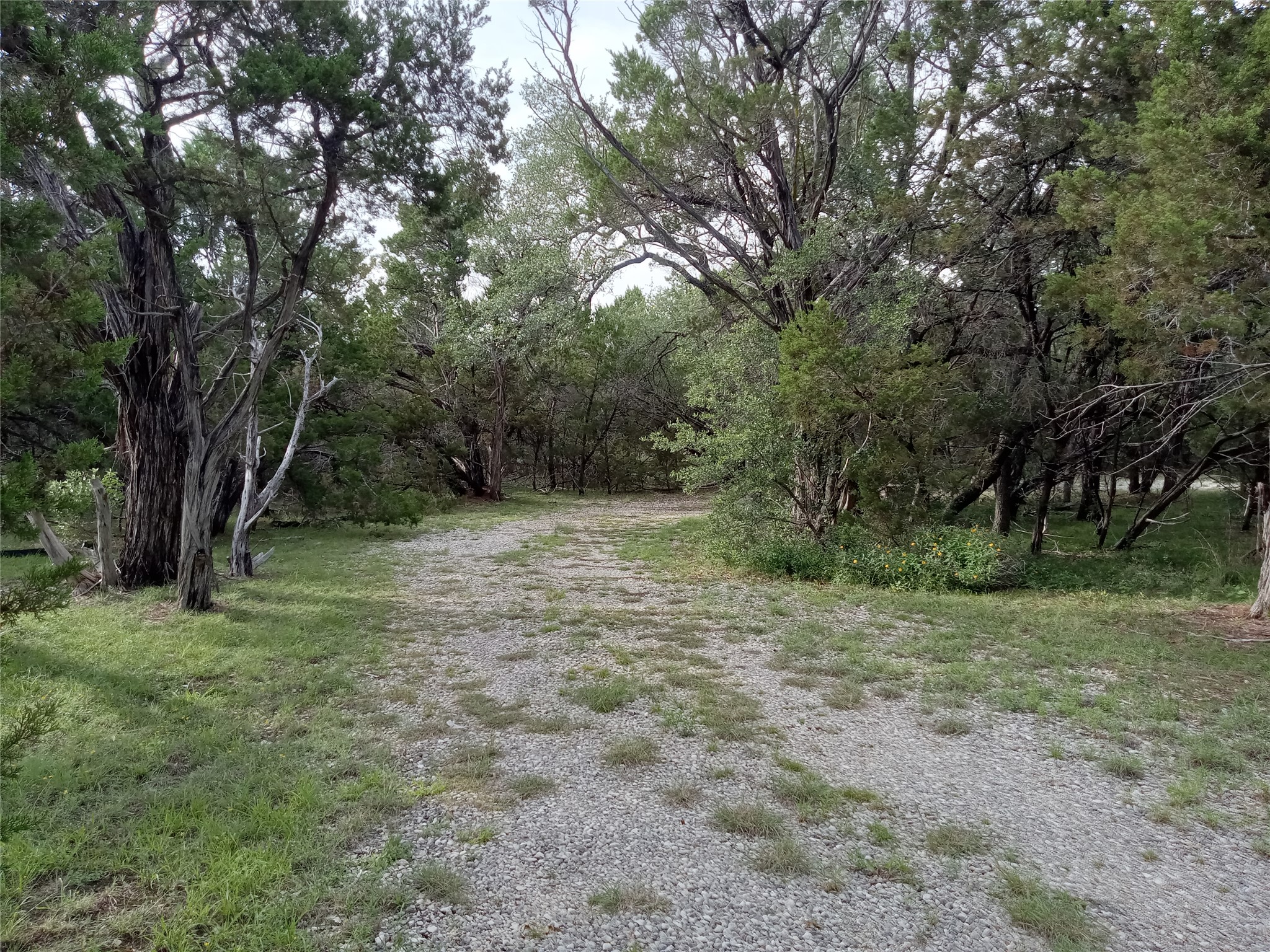 main property photo 24