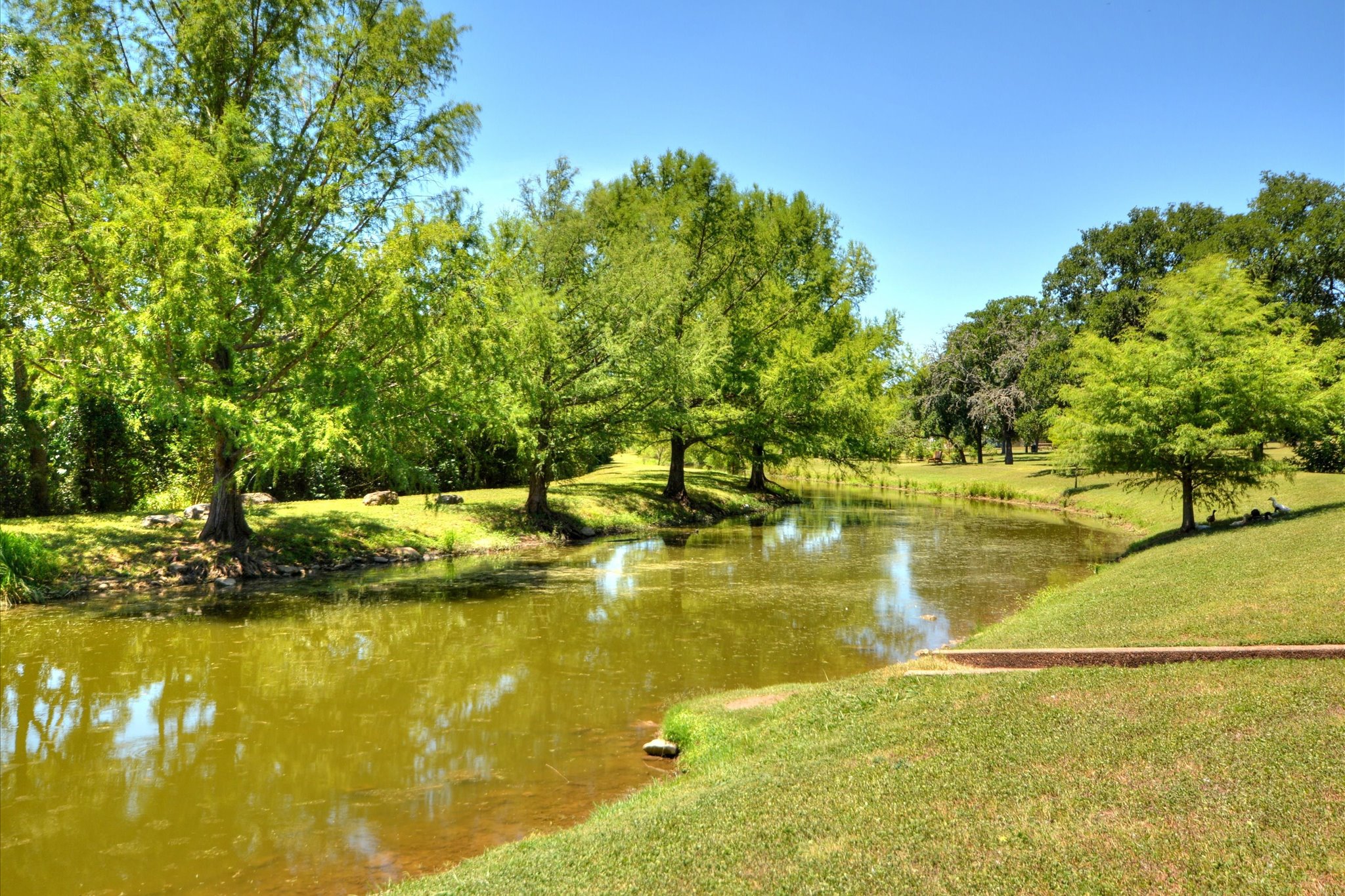 main property photo 38