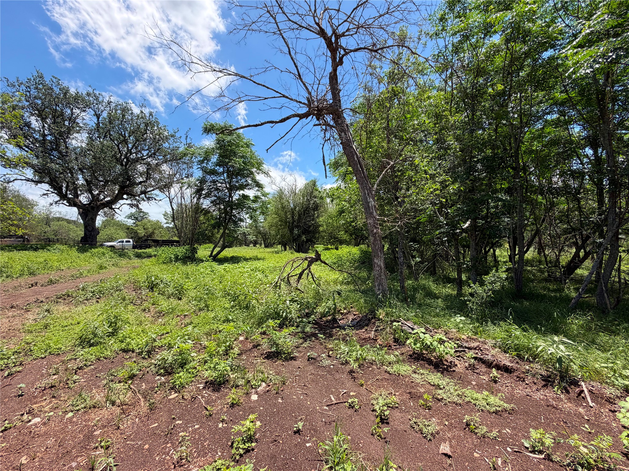 main property photo 17