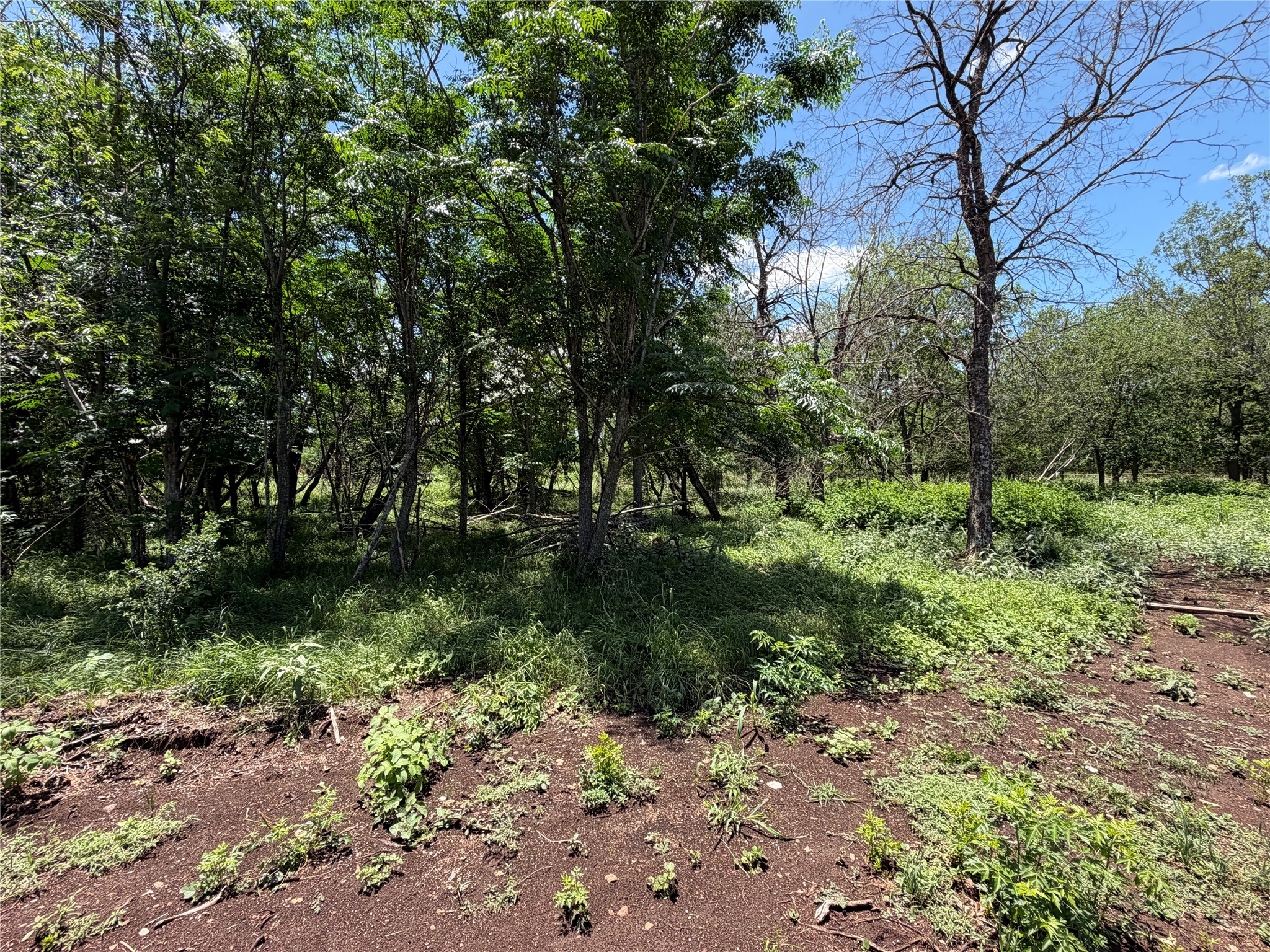 main property photo 19