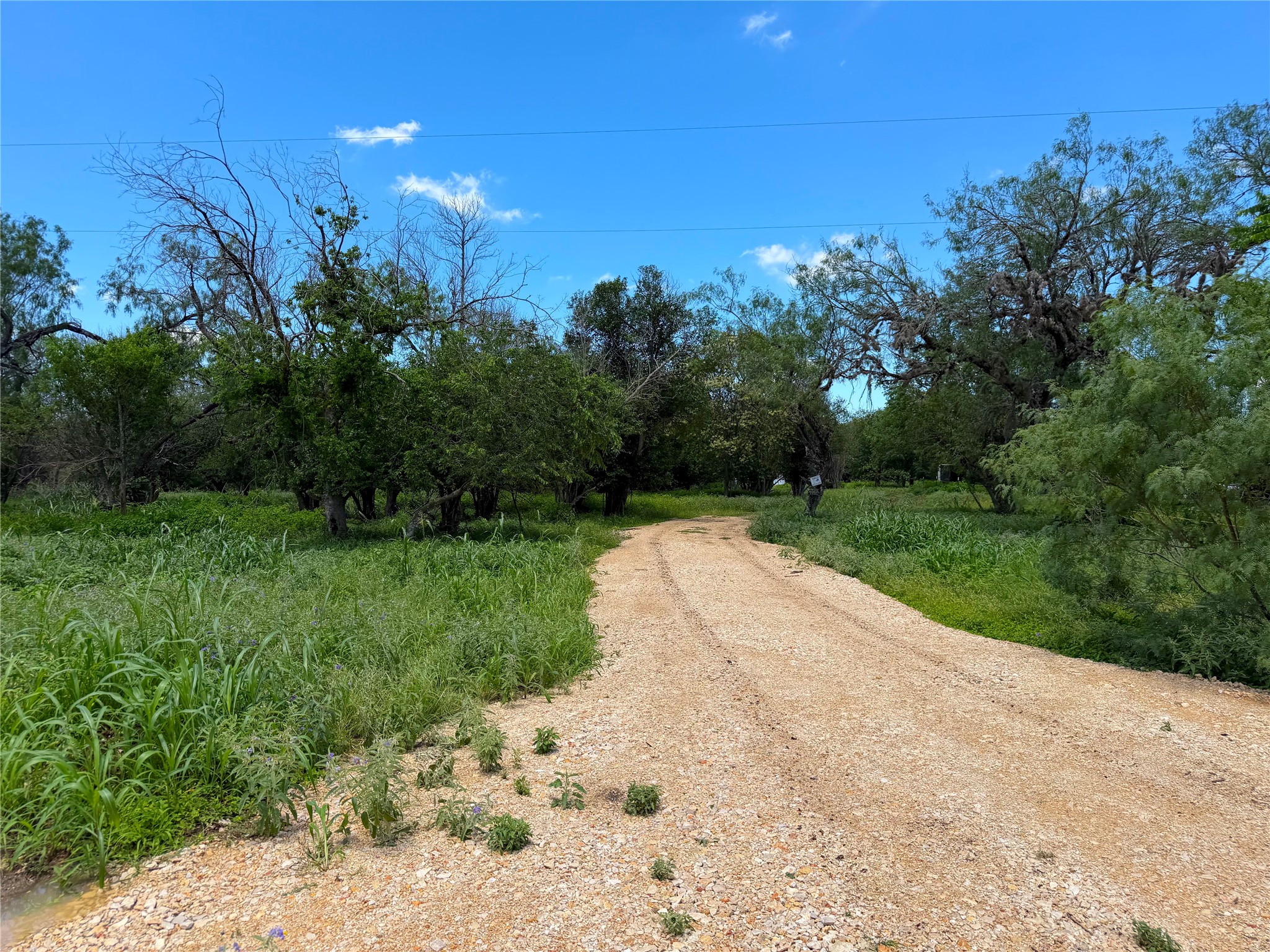 main property photo 25