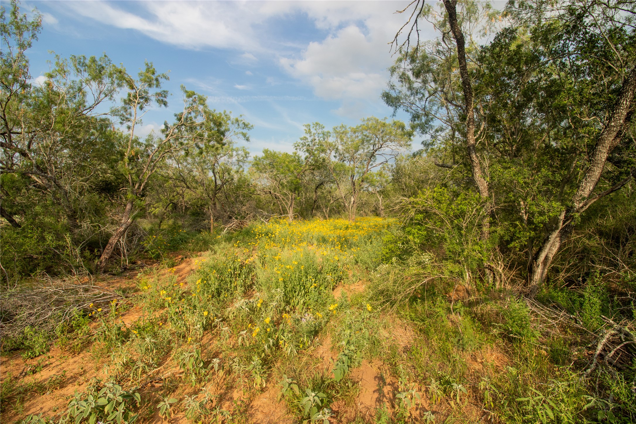 main property photo 11