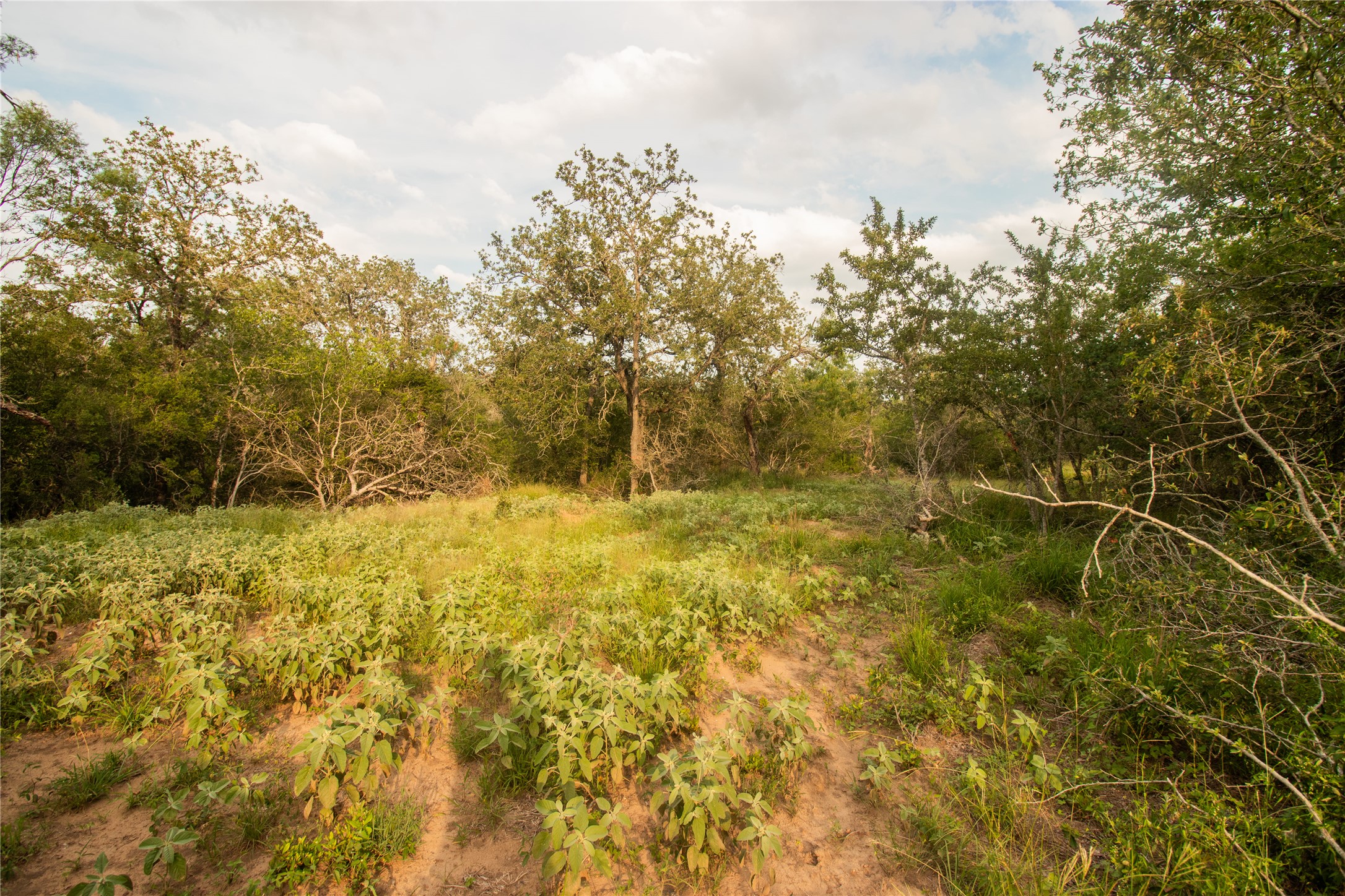 main property photo 18