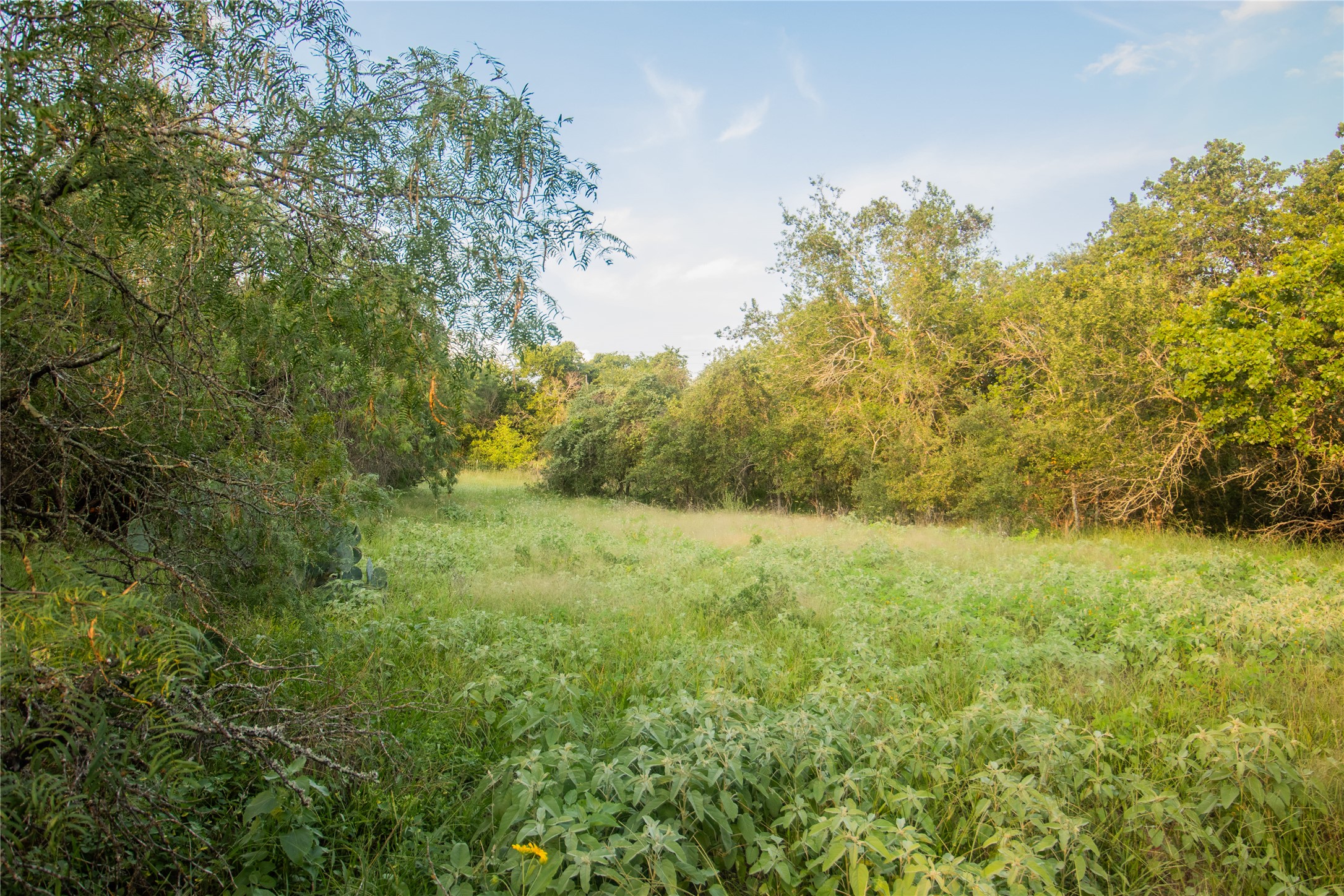 main property photo 21