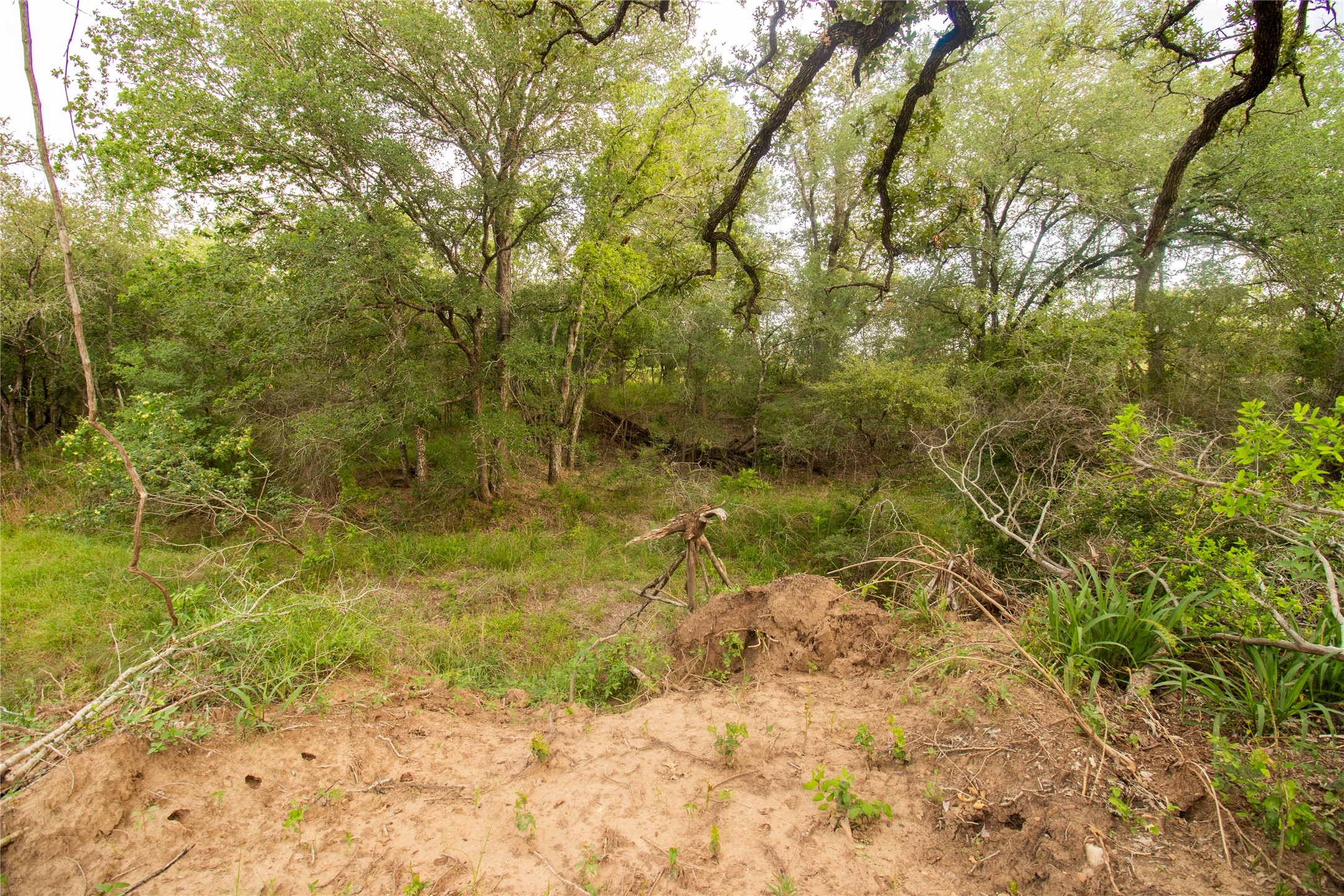 main property photo 25