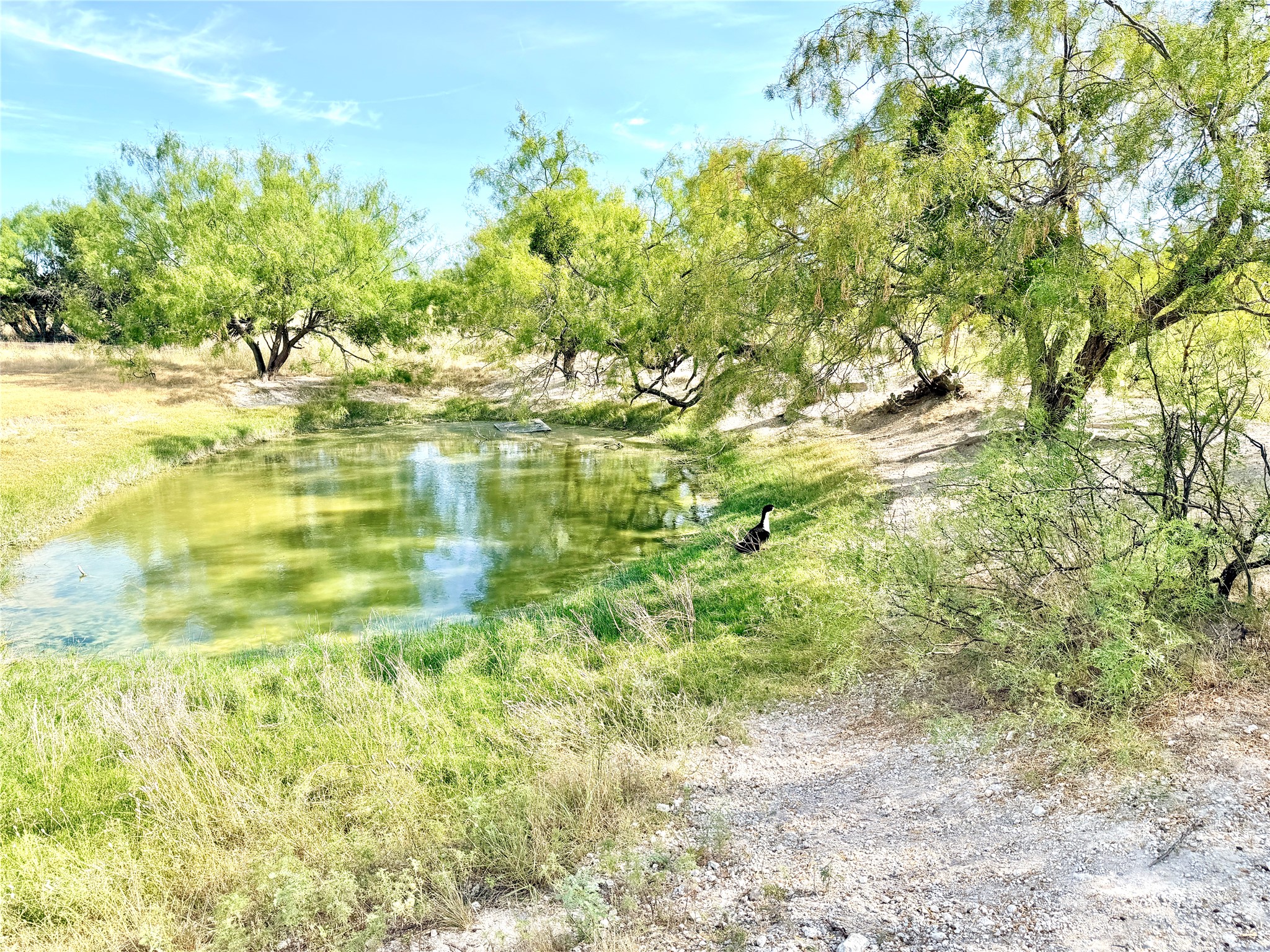 main property photo 32