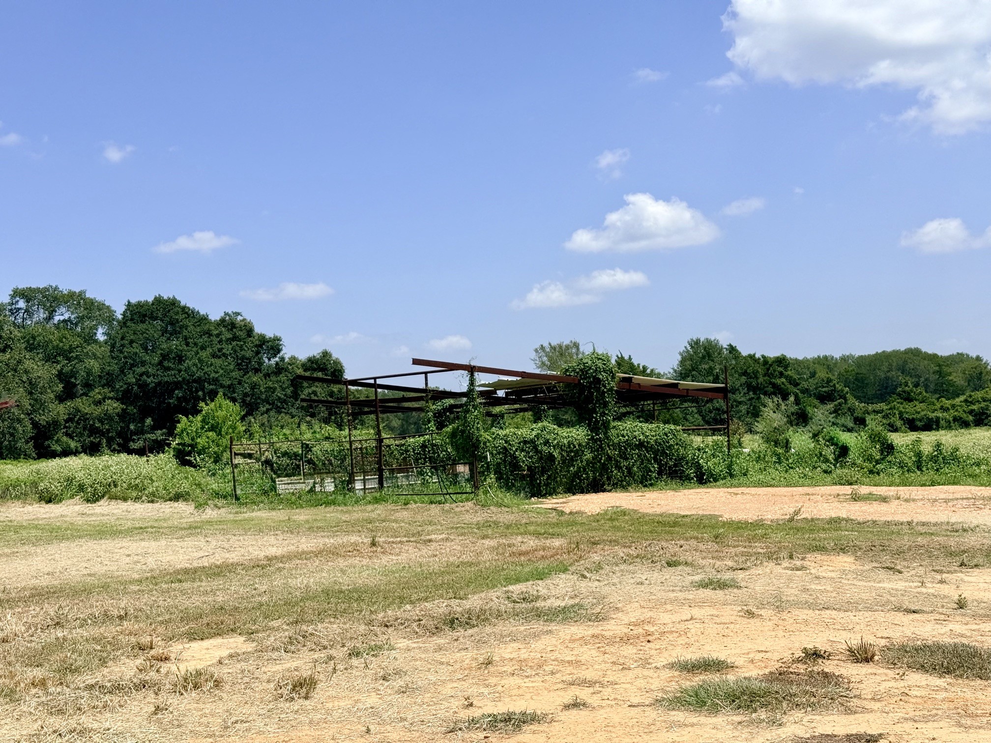 main property photo 9