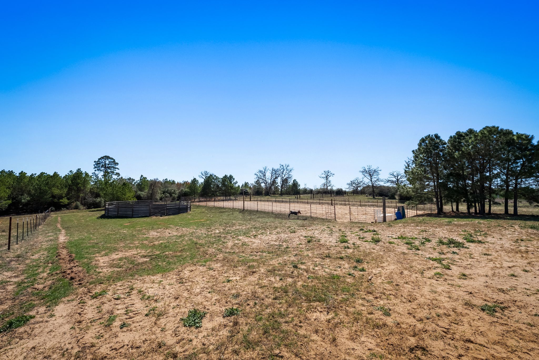main property photo 28