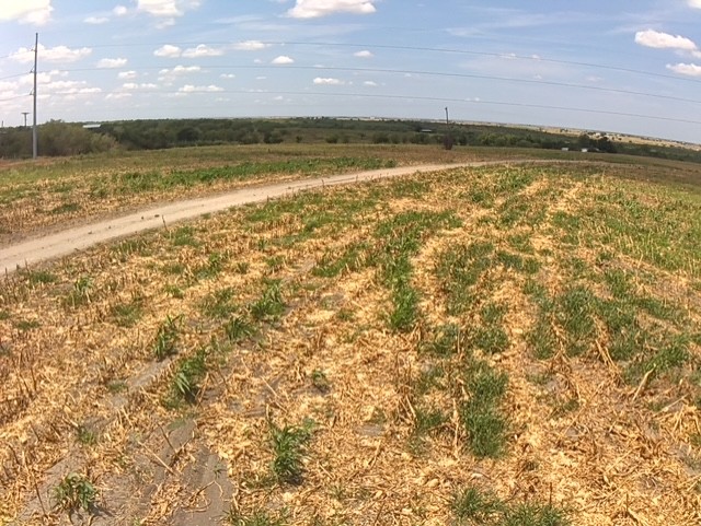 main property photo 17