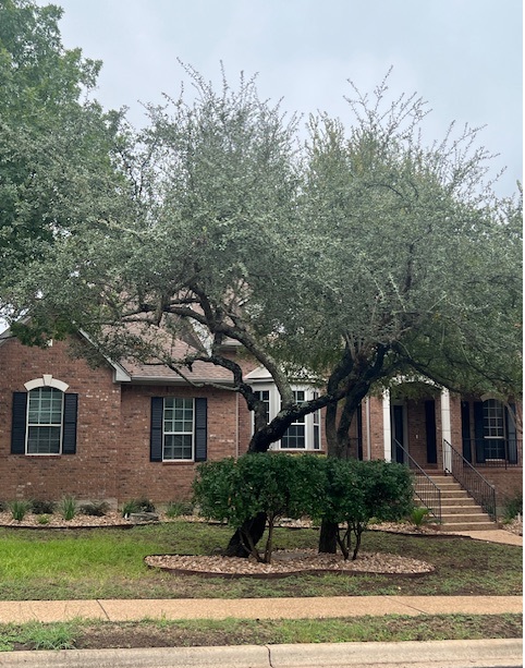 main property photo 32