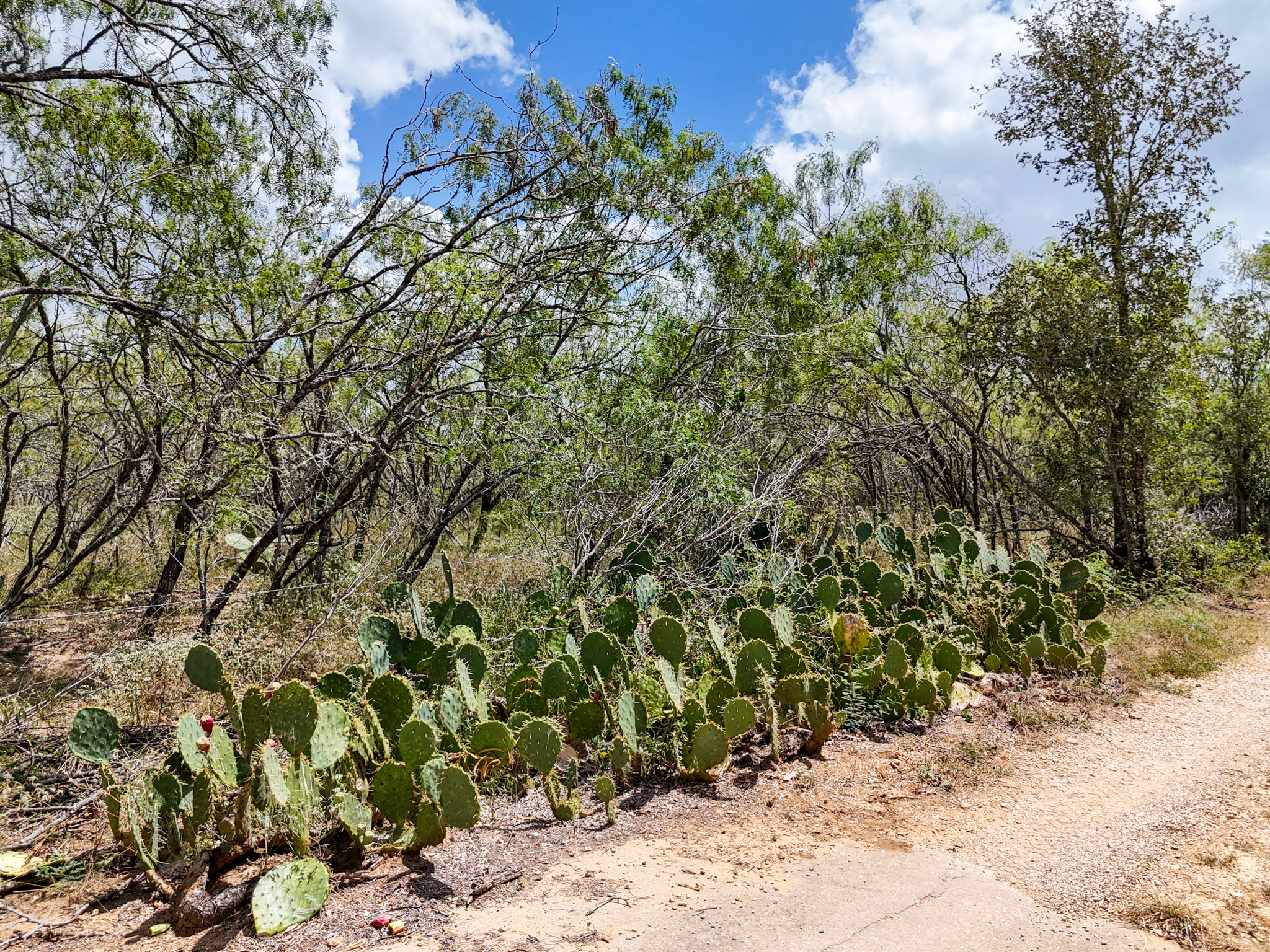 main property photo 33