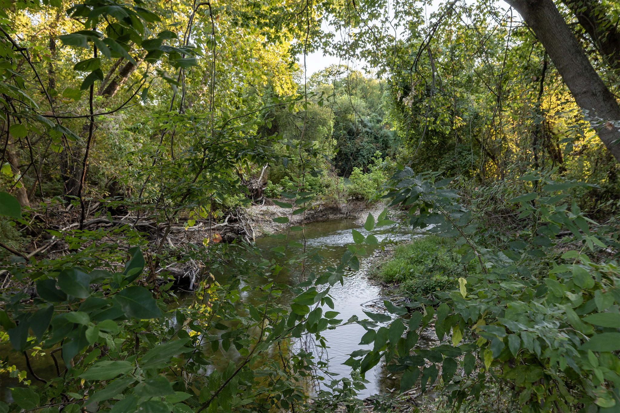main property photo 11