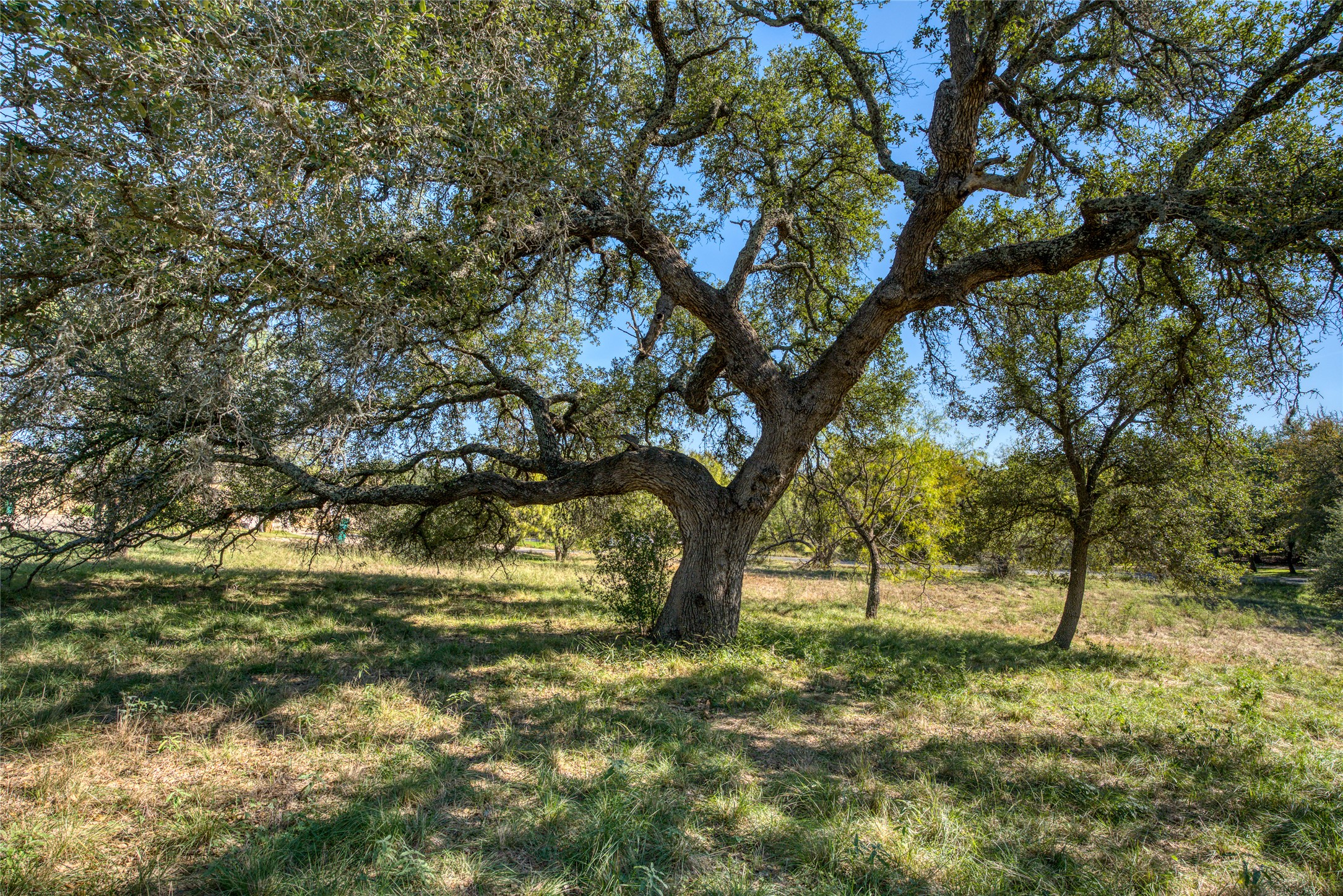 main property photo 30