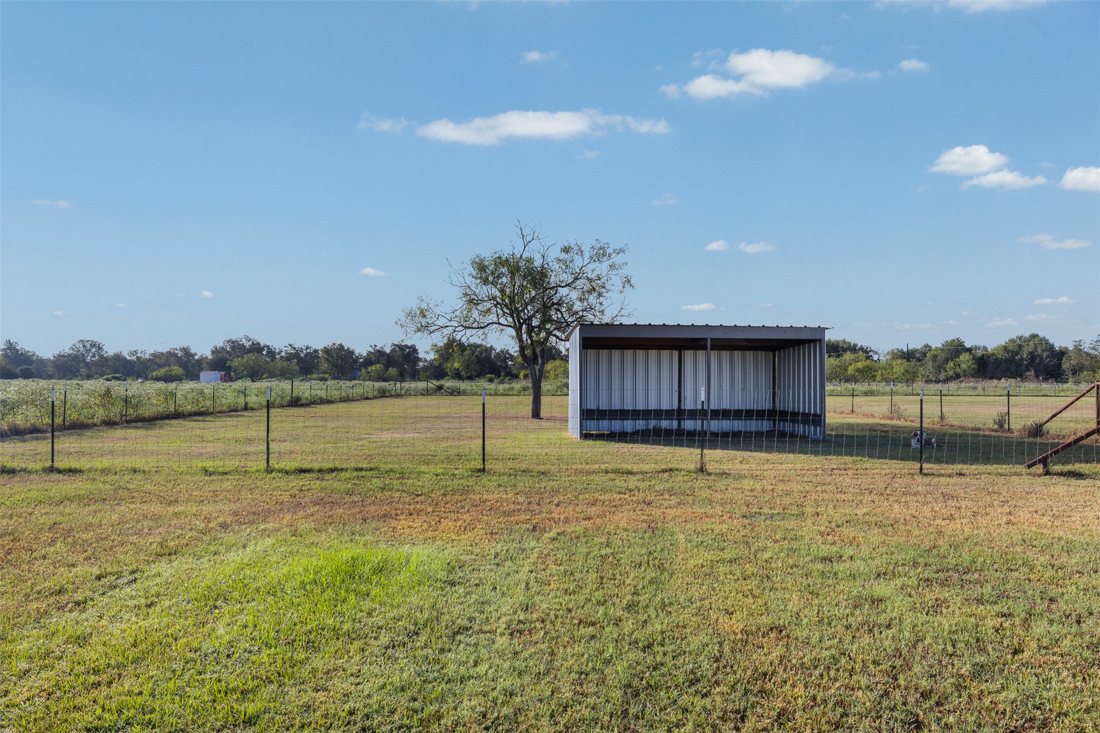 main property photo 31