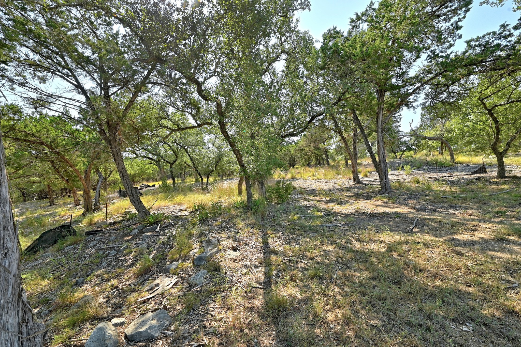 main property photo 12