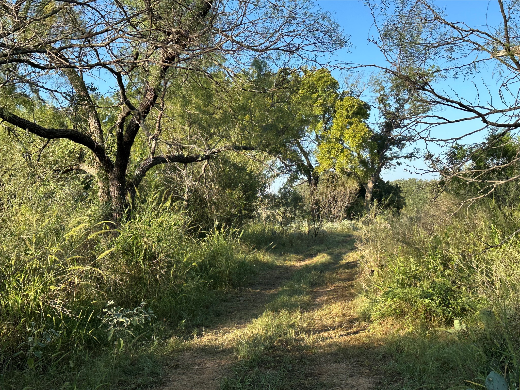 main property photo 12