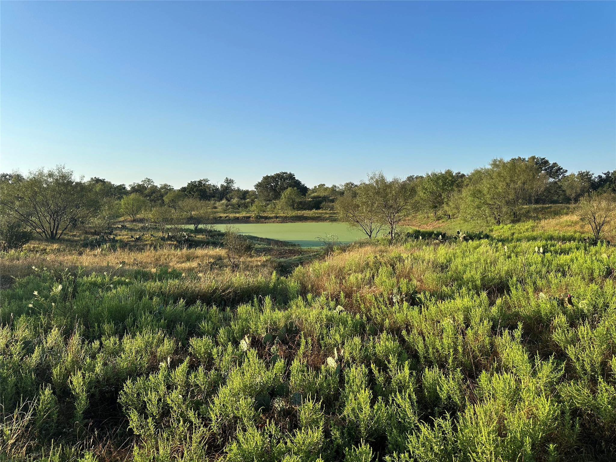 main property photo 8