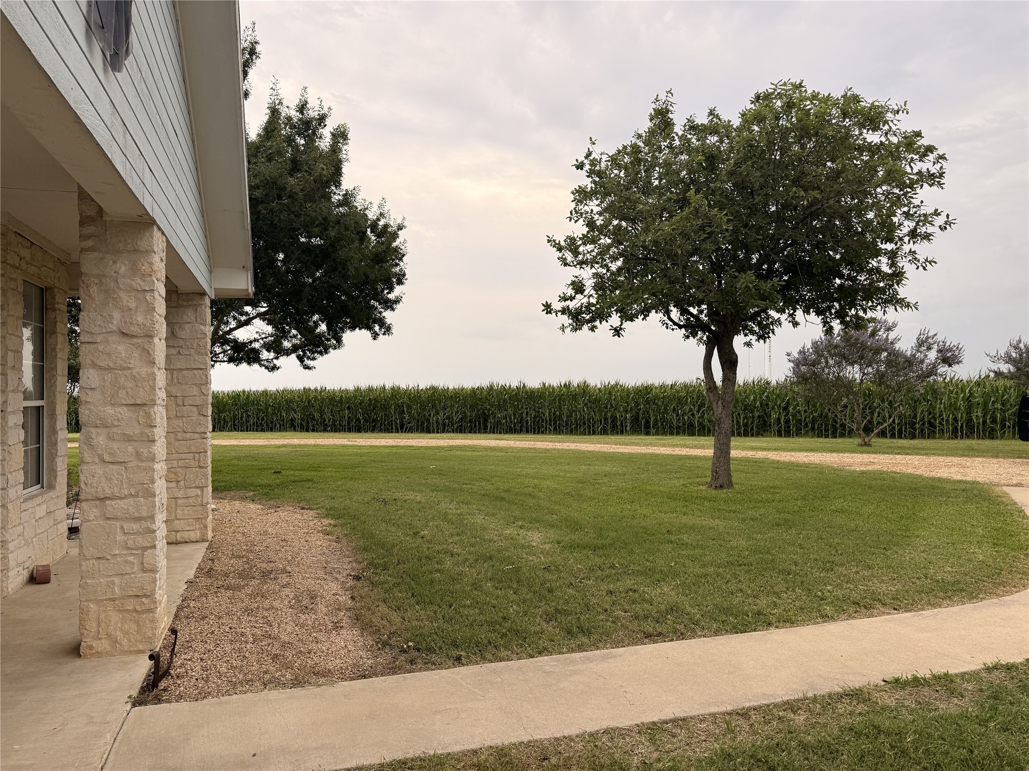 main property photo 6