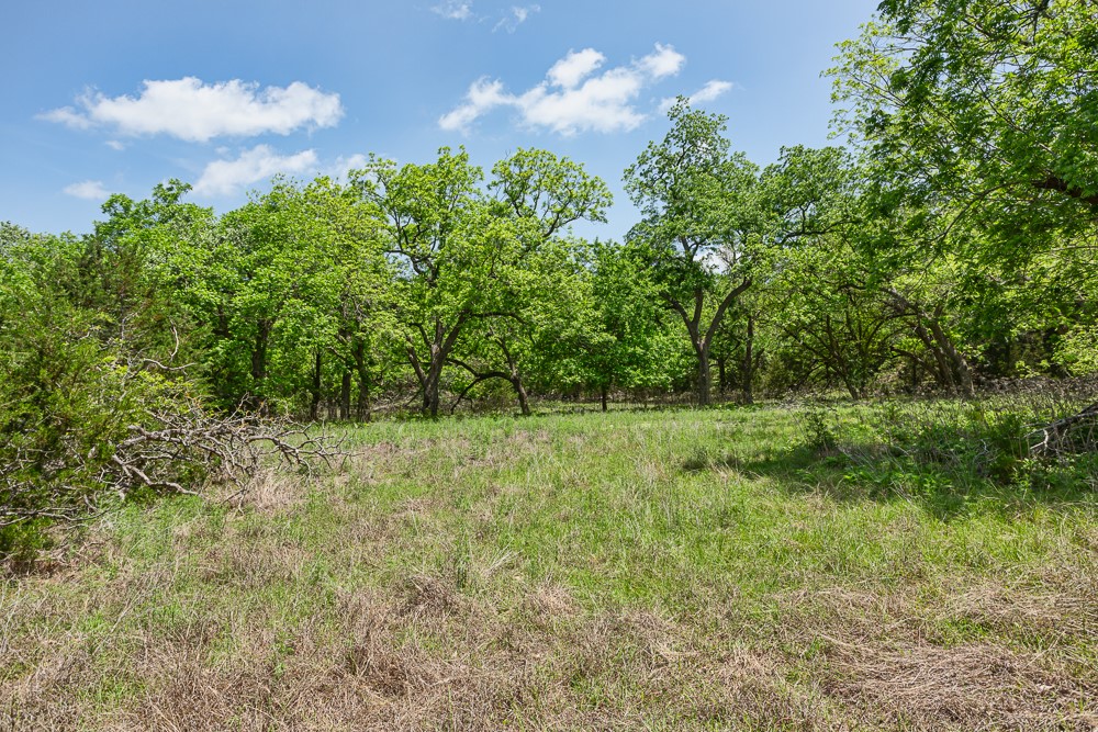 main property photo 10