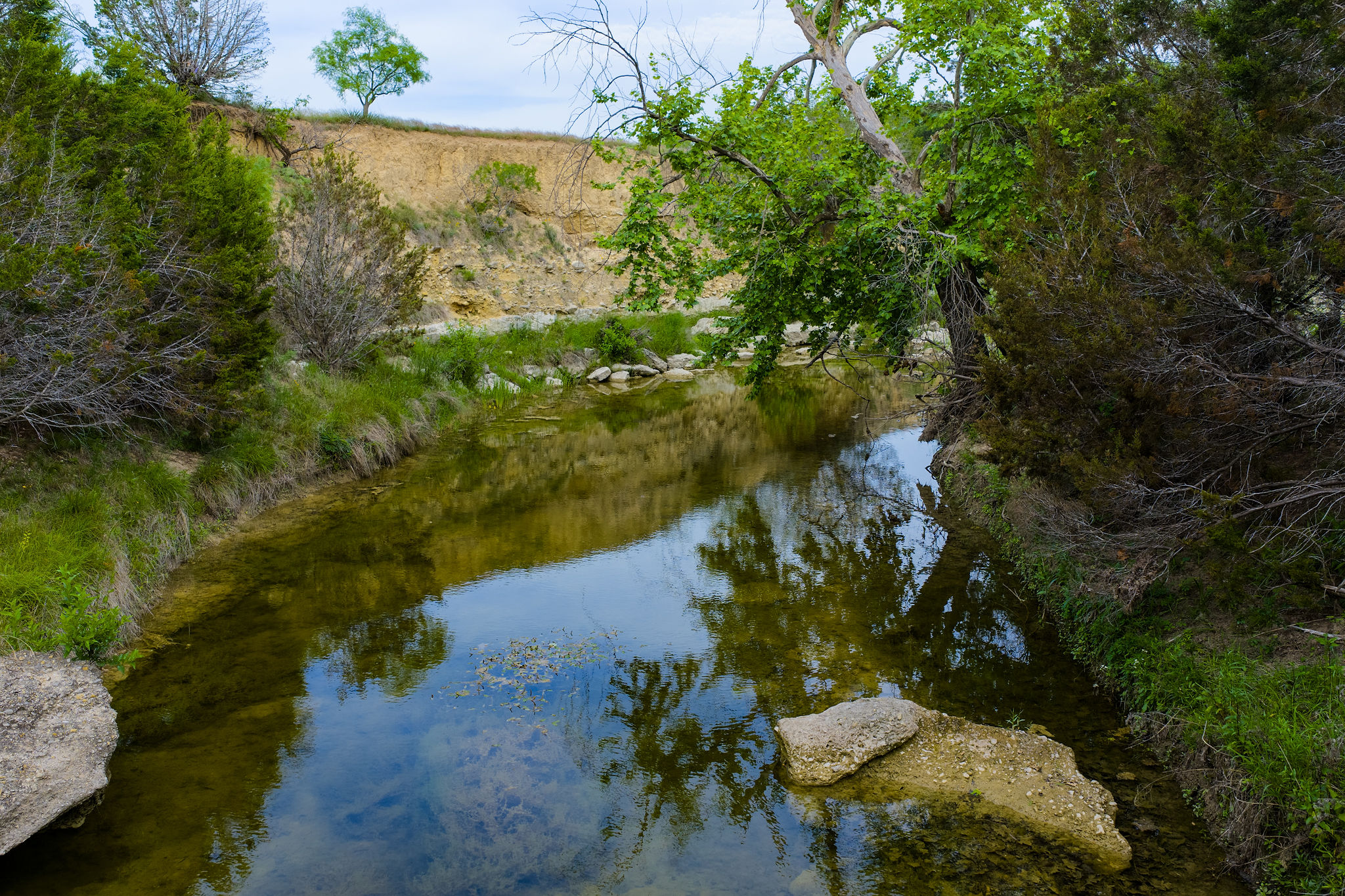 main property photo 19
