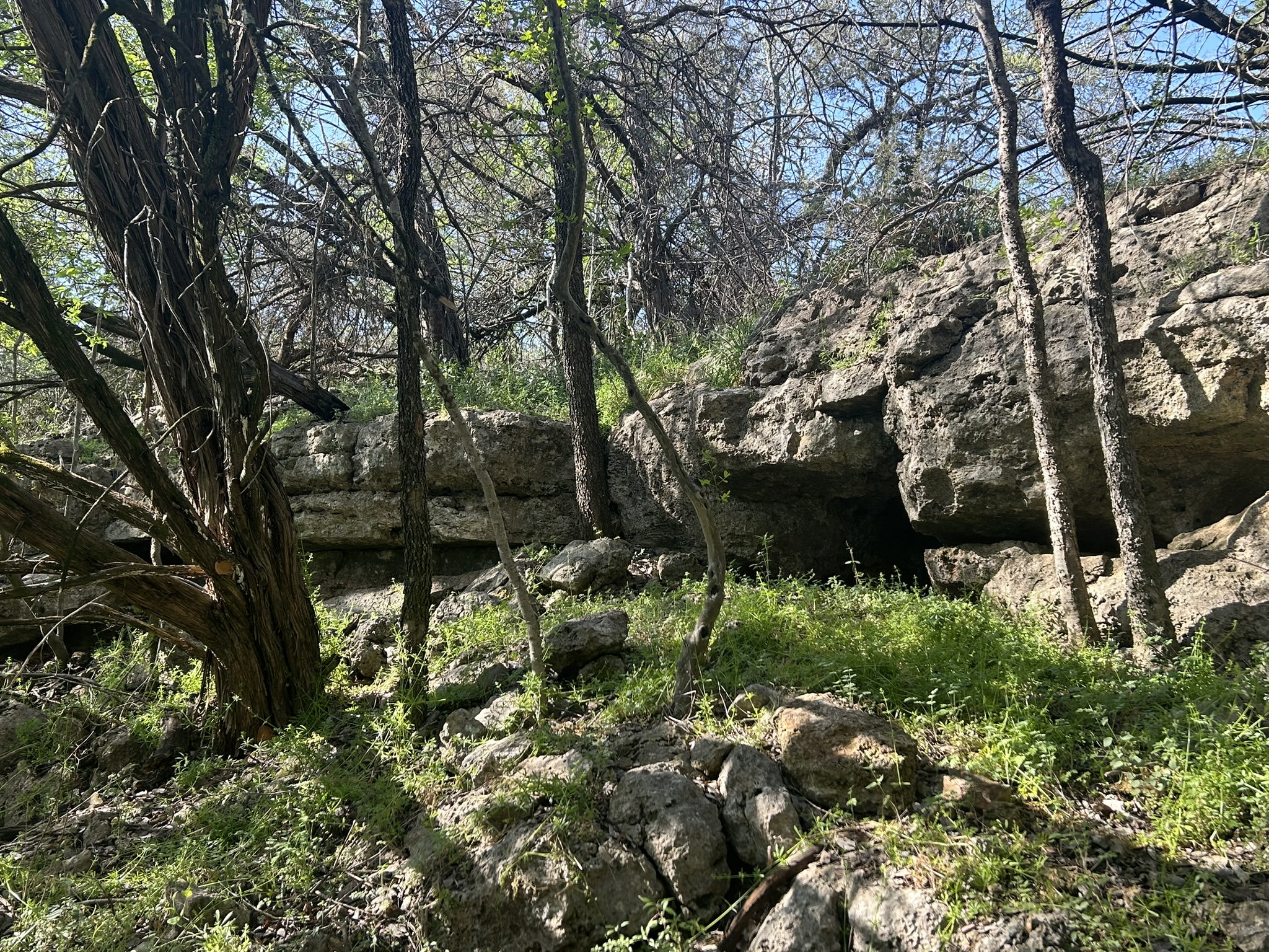 main property photo 28