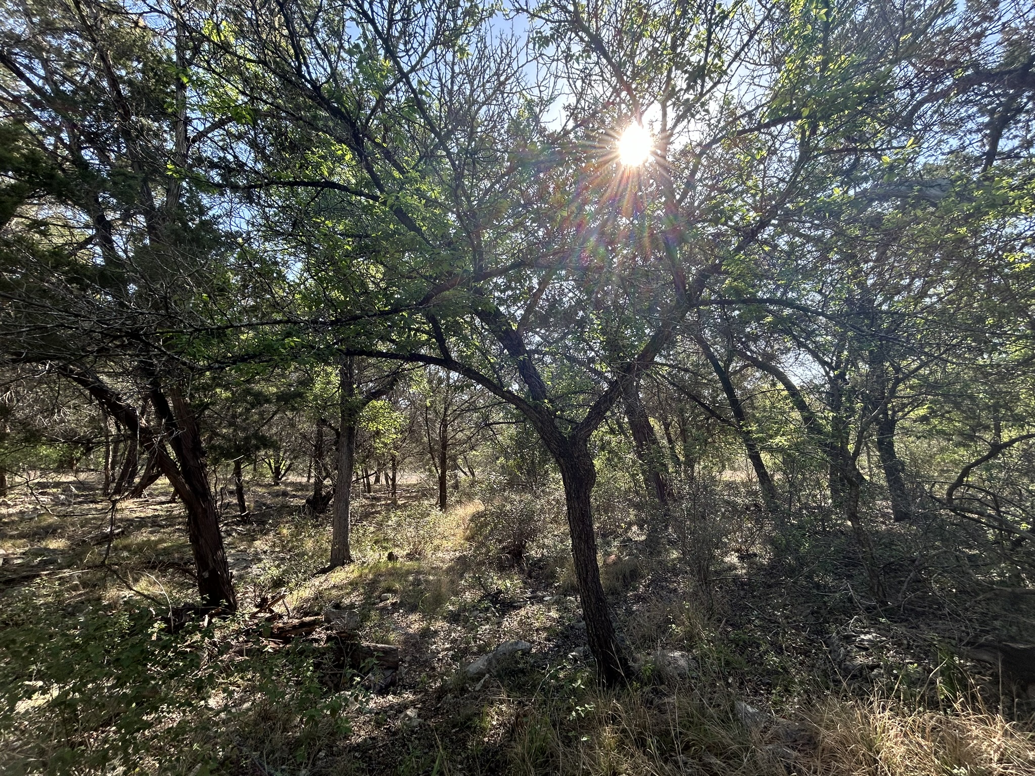 main property photo 29