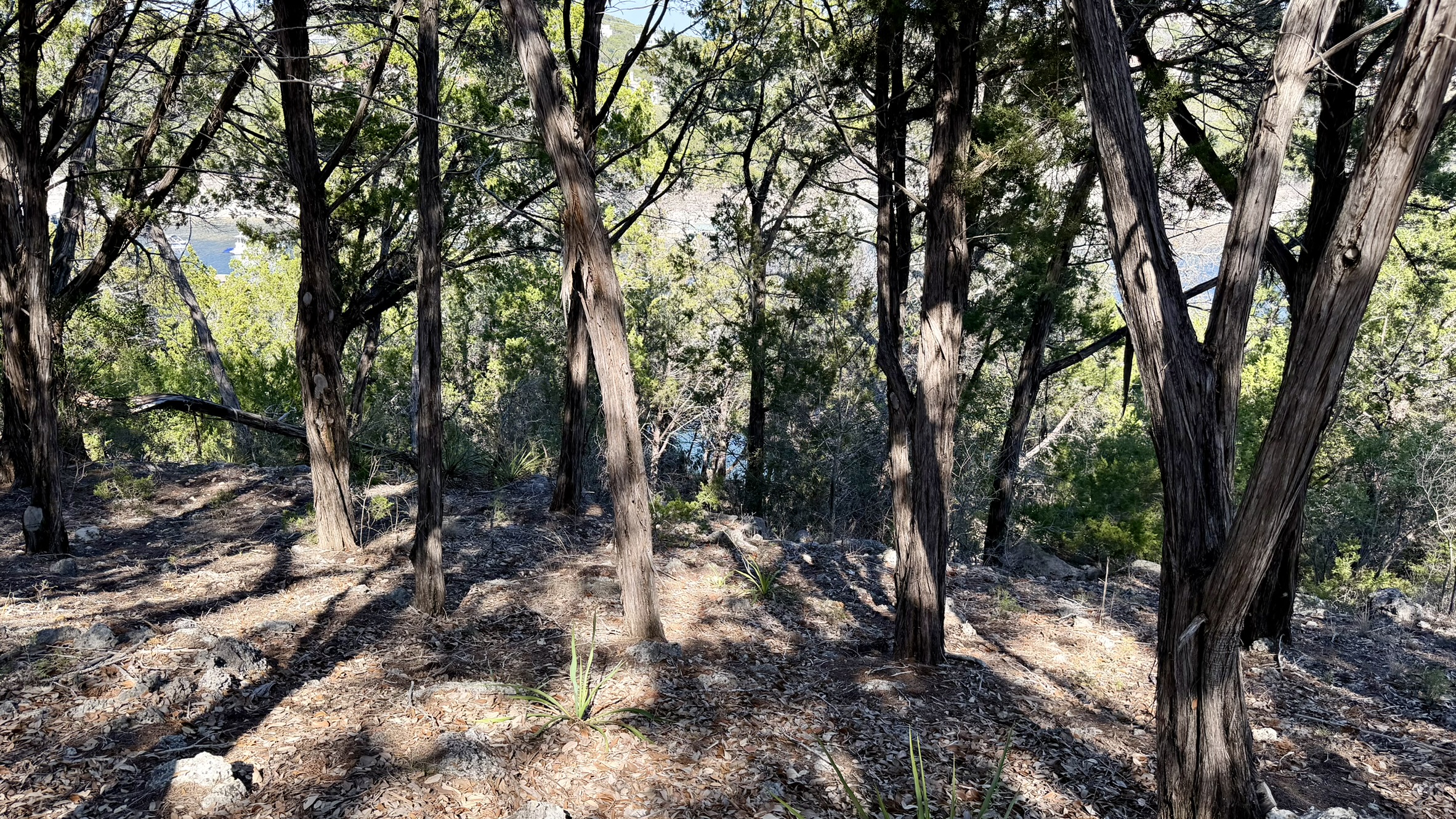 main property photo 20
