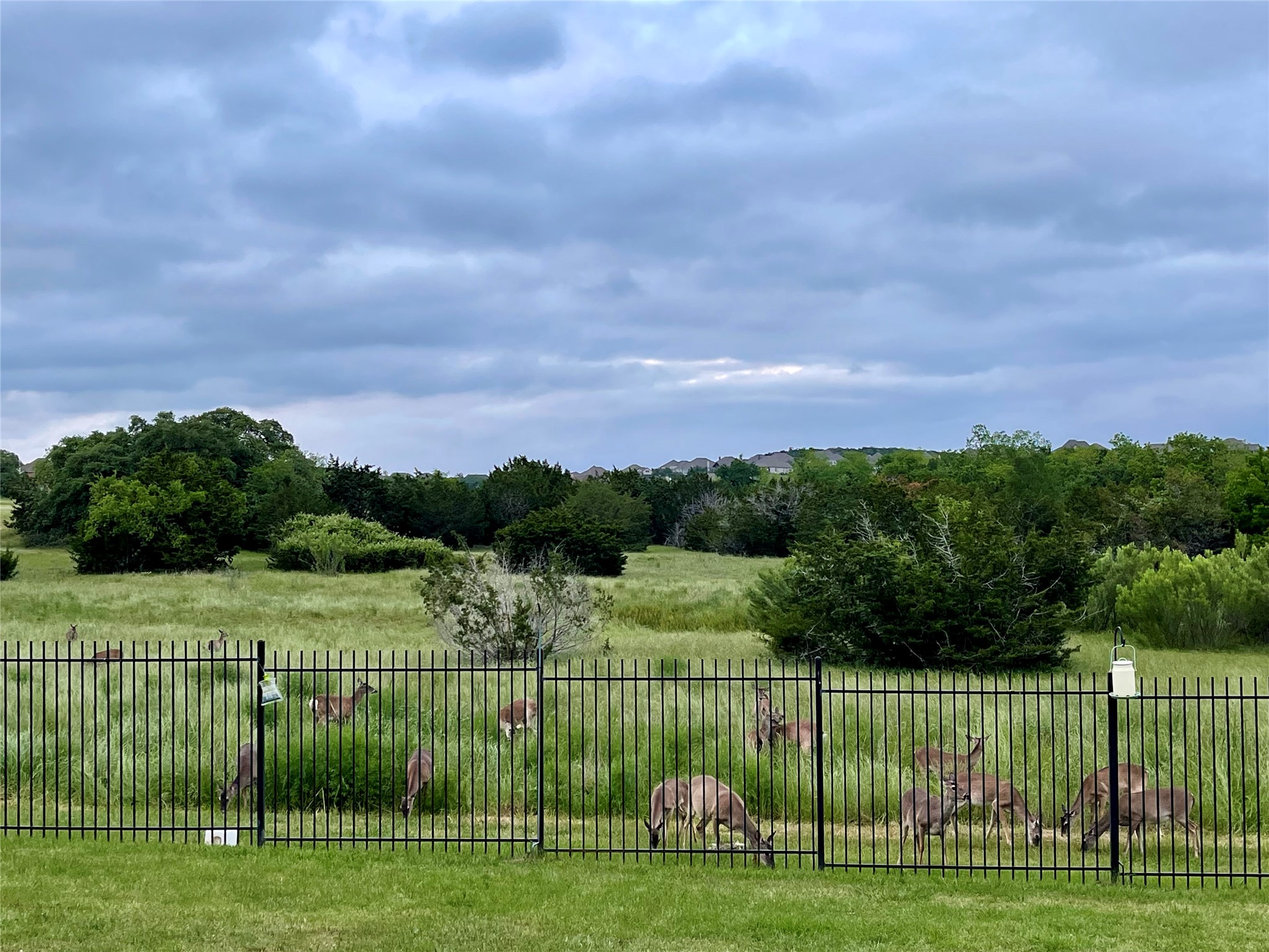 main property photo 35