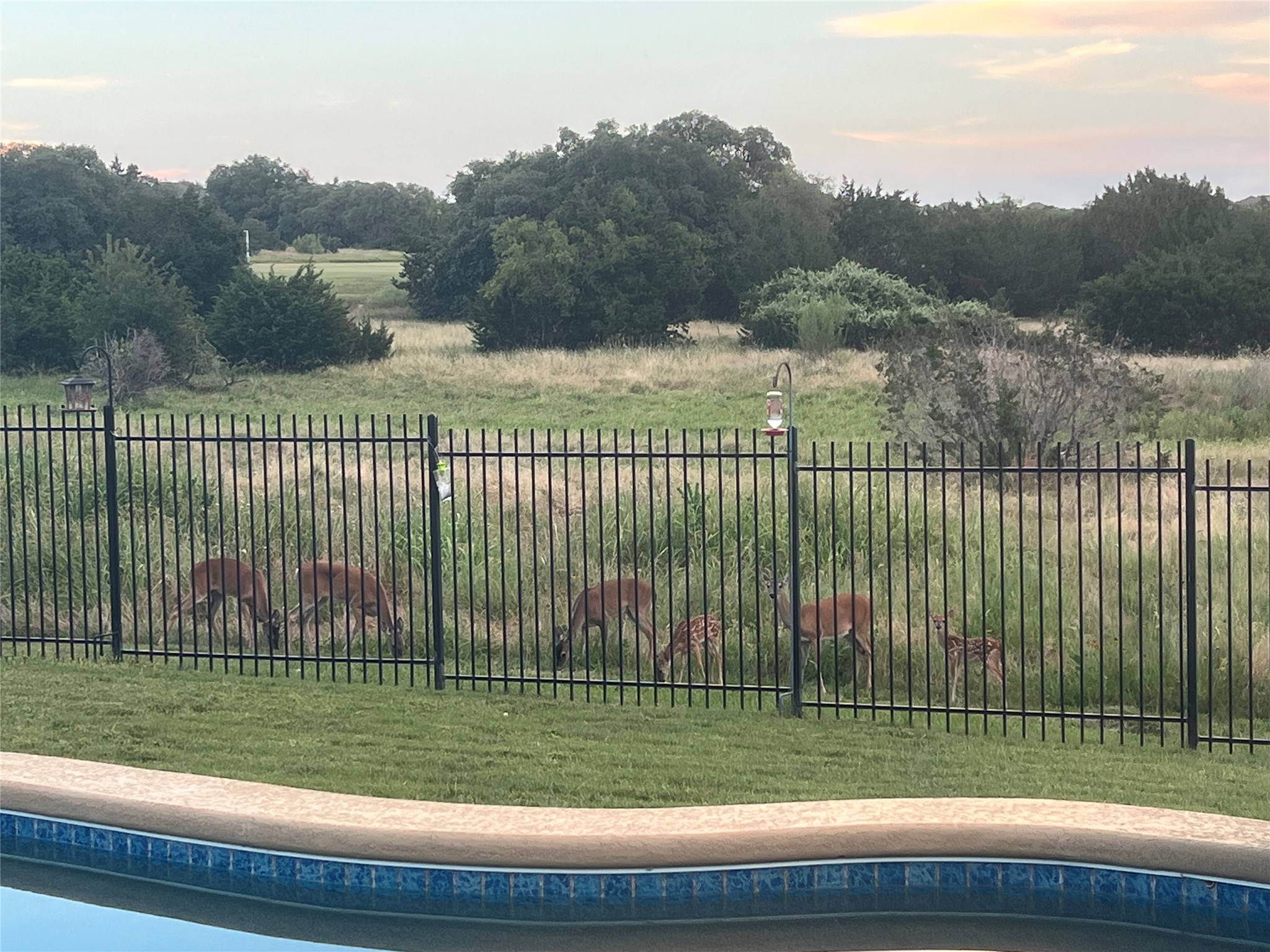 main property photo 36