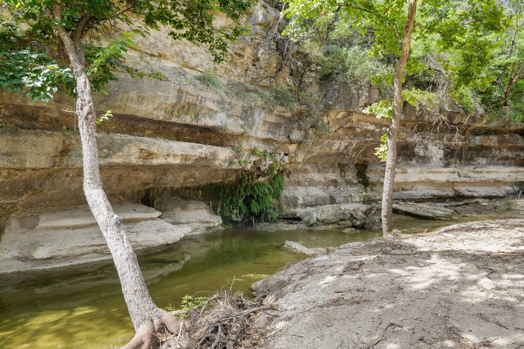 main property photo 25